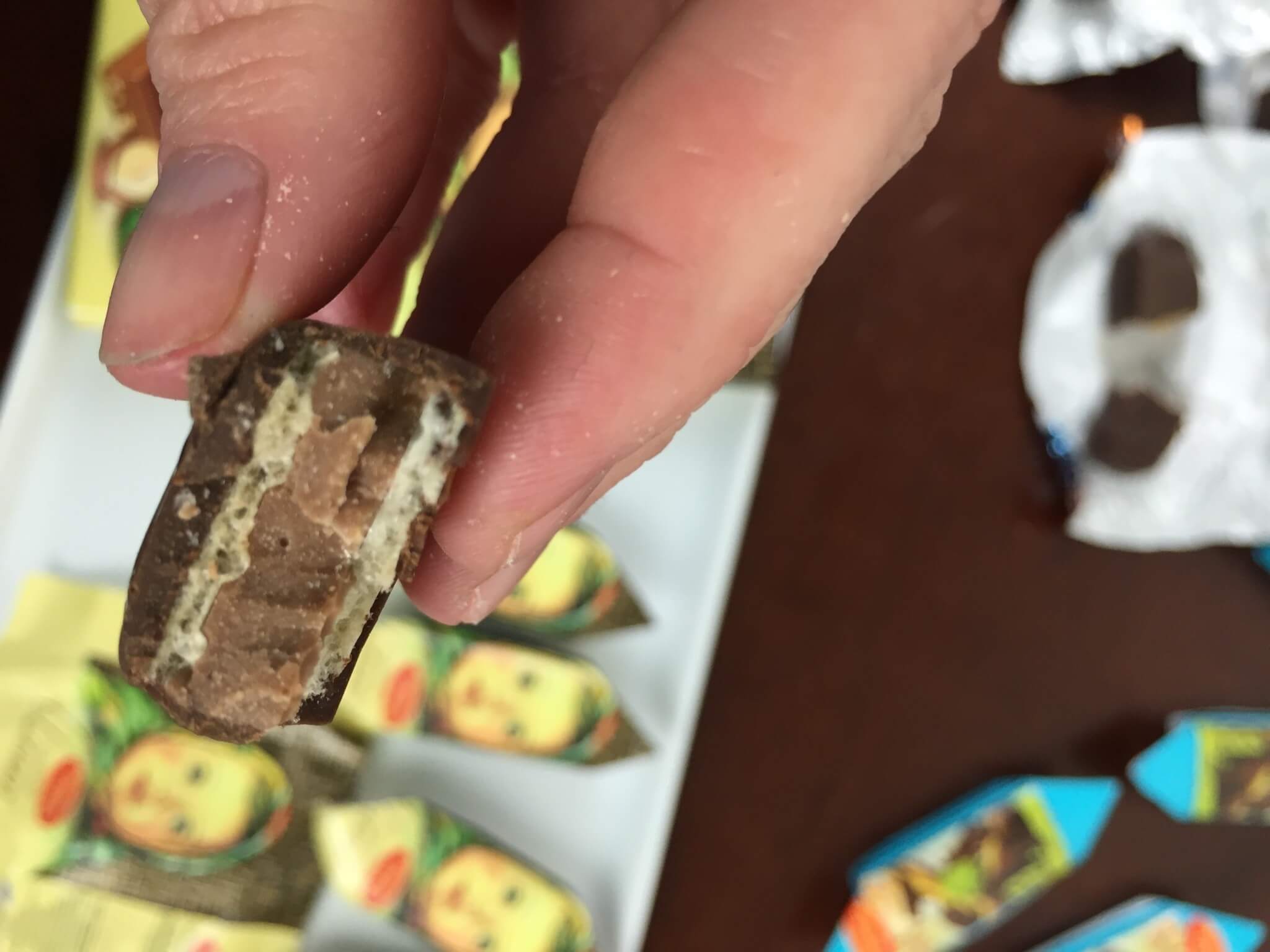 Russian Candy Box April 2016 (16)