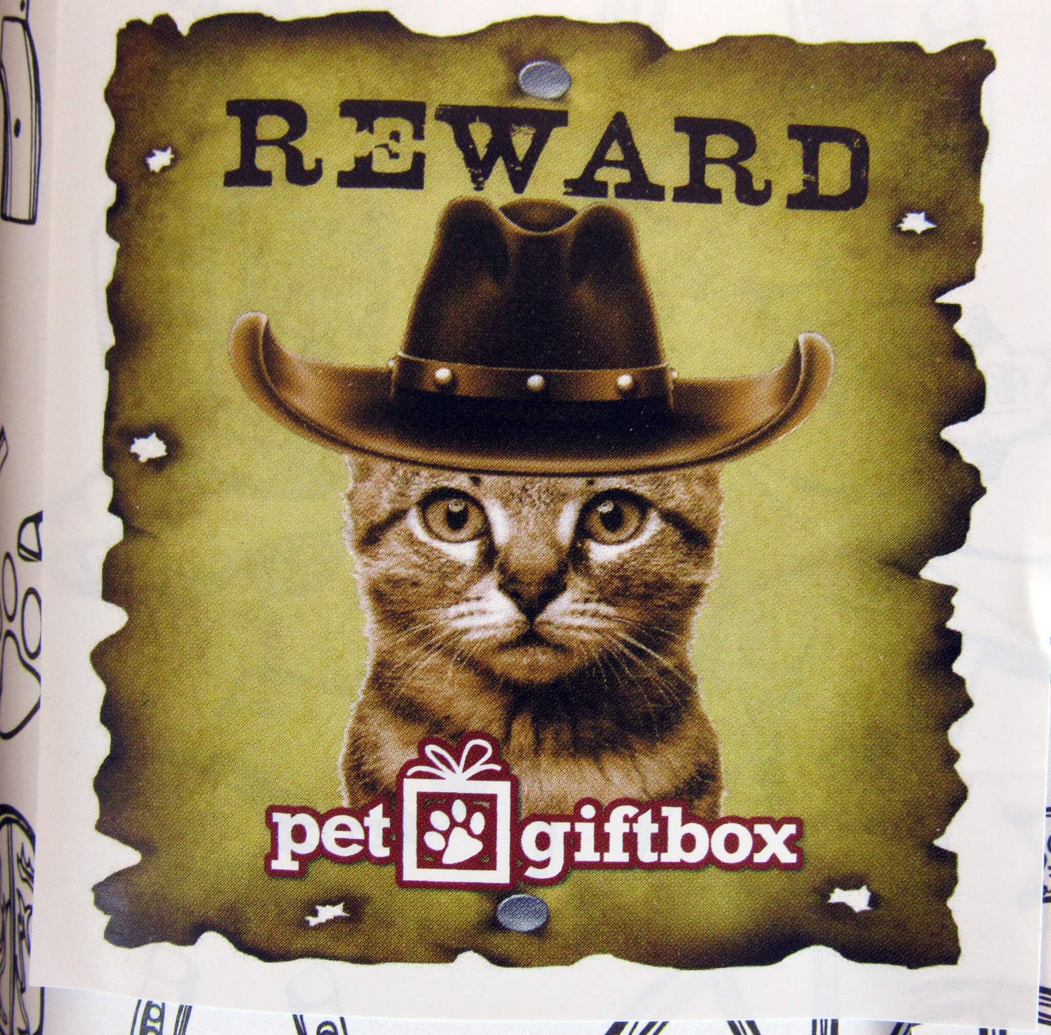 It's a wanted kitty!
