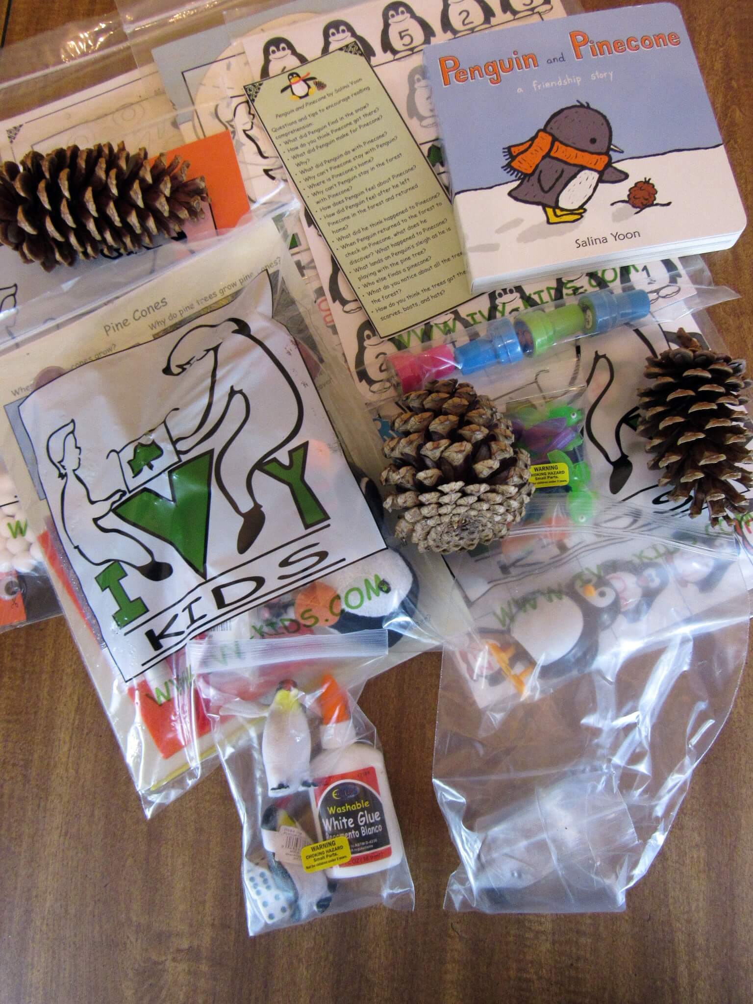 Ivy Kids January 2016 Subscription Box Review & Coupons