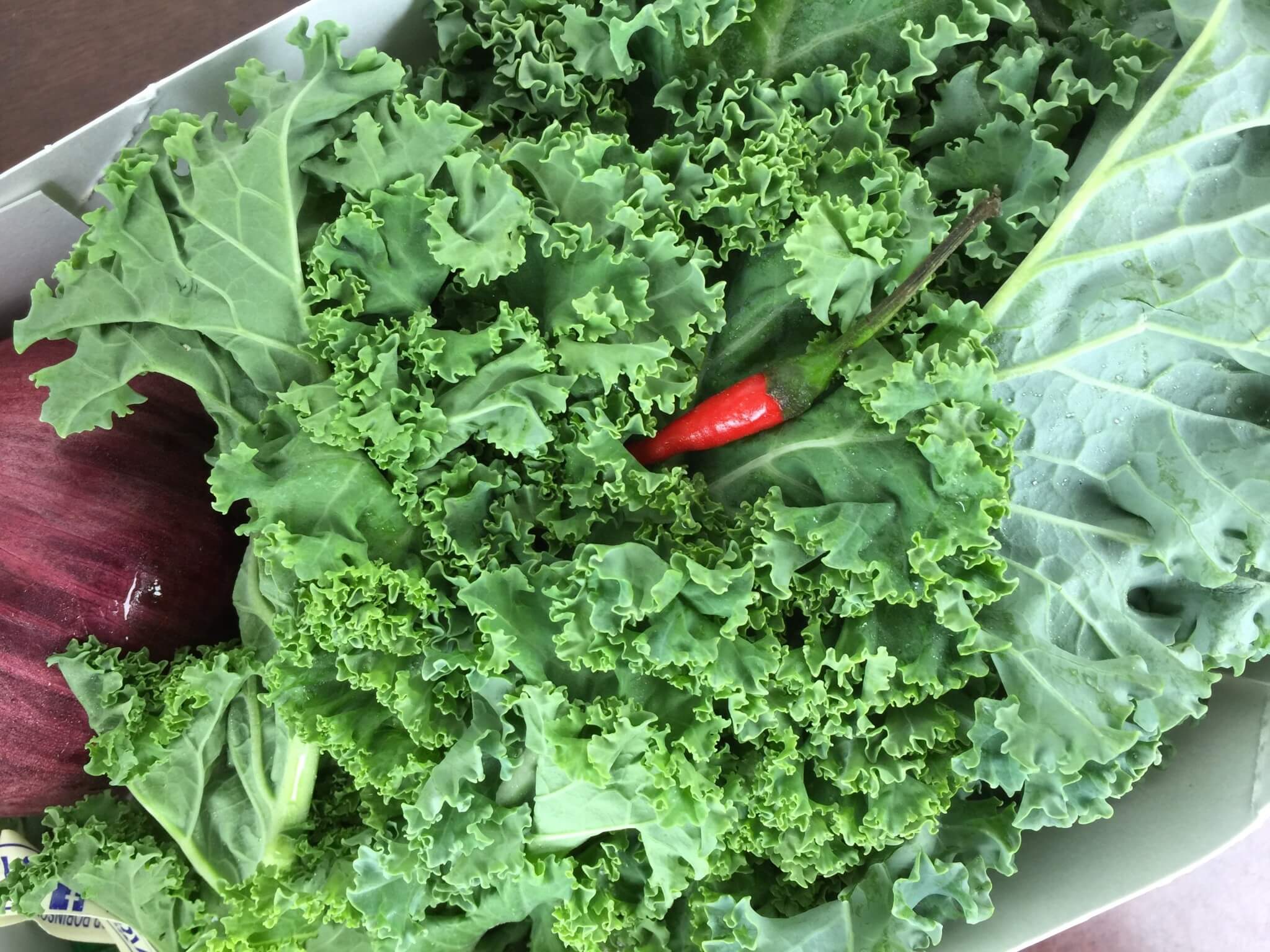 Hello Fresh Box April 2016 (3)