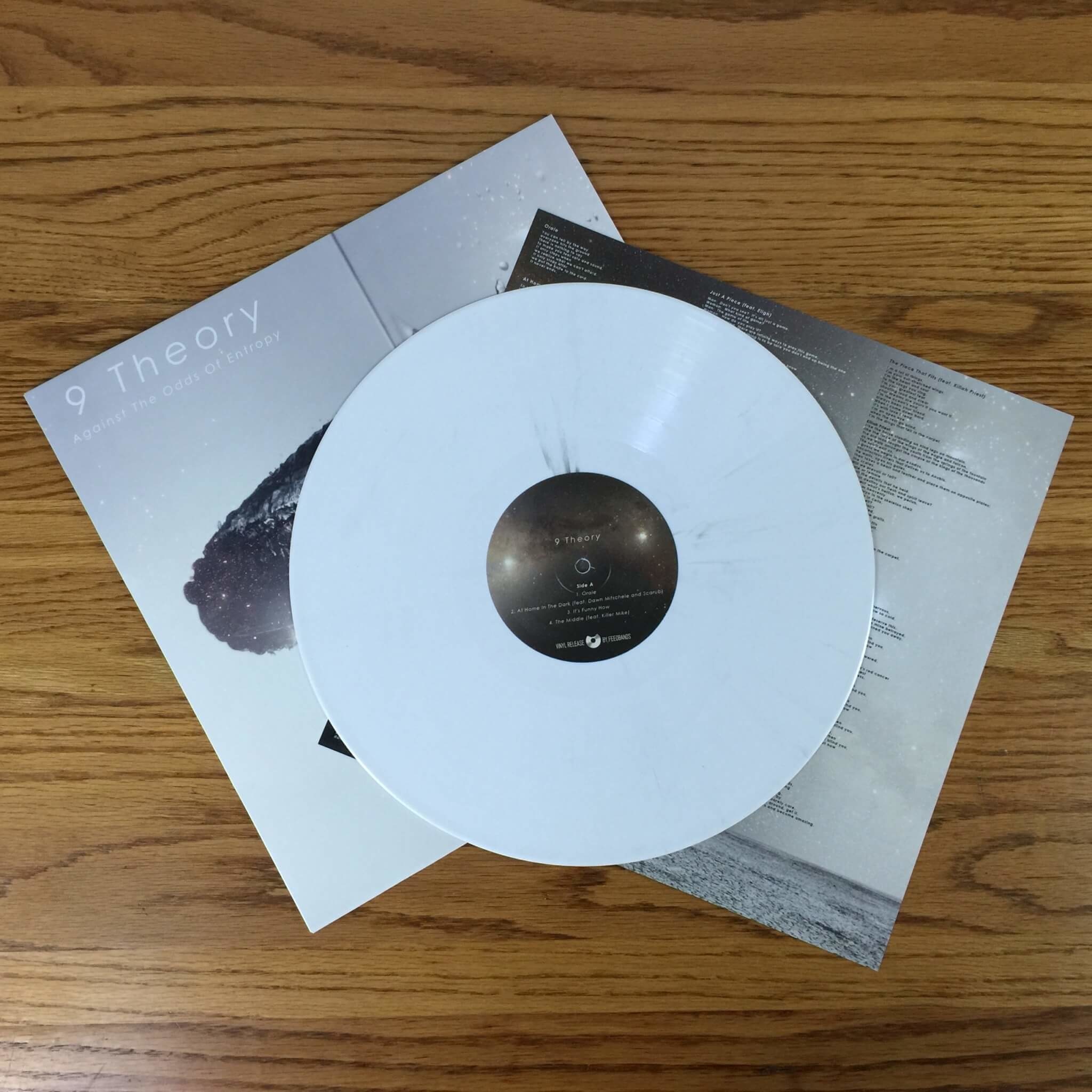 Feedbands Vinyl of the Month Subscription Review – June 2016