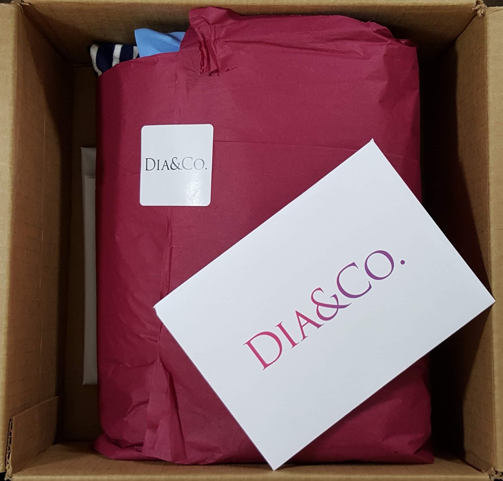 Dia & Co. Subscription Review – June 2016