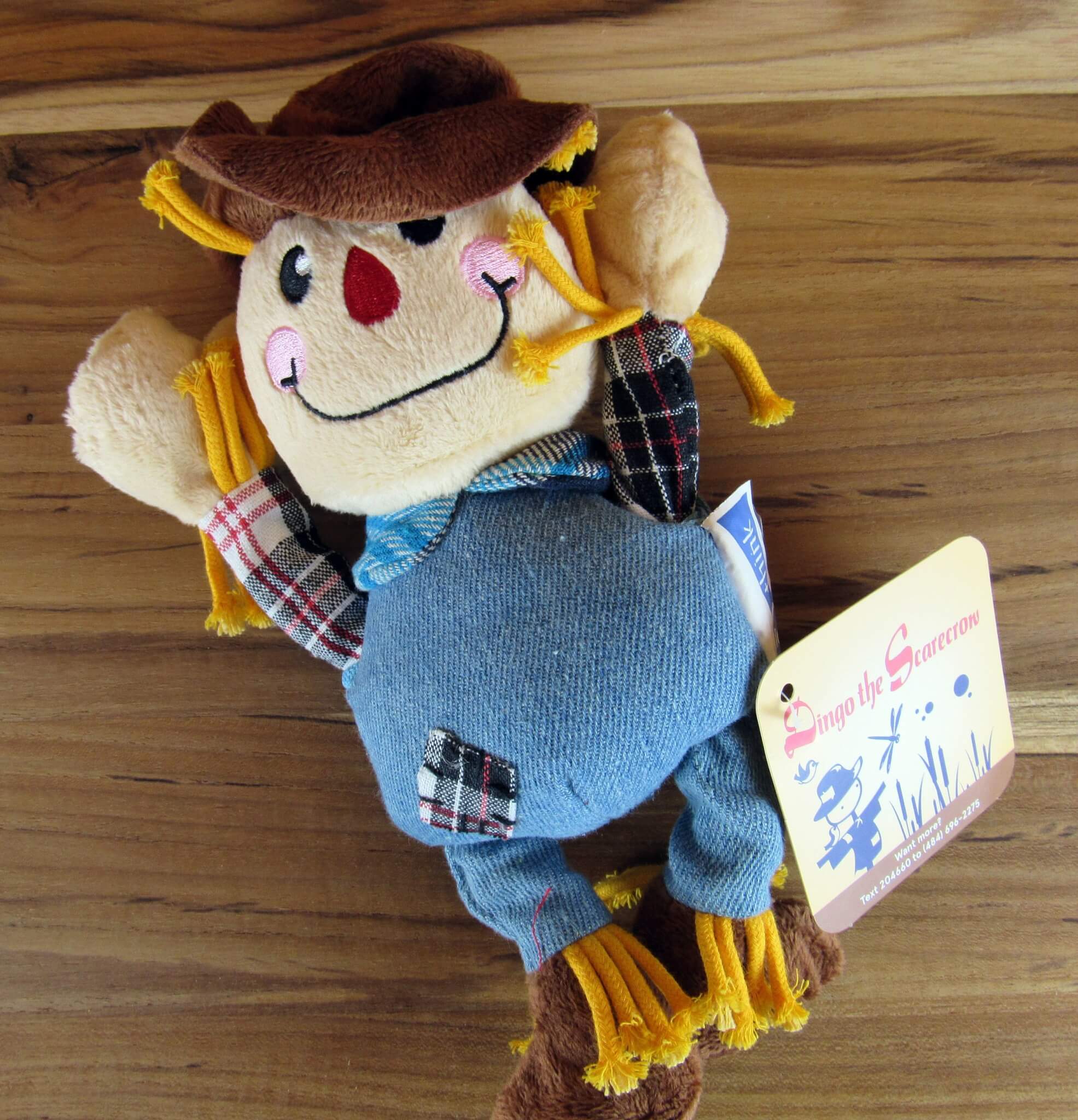 Dingo the Scarecrow