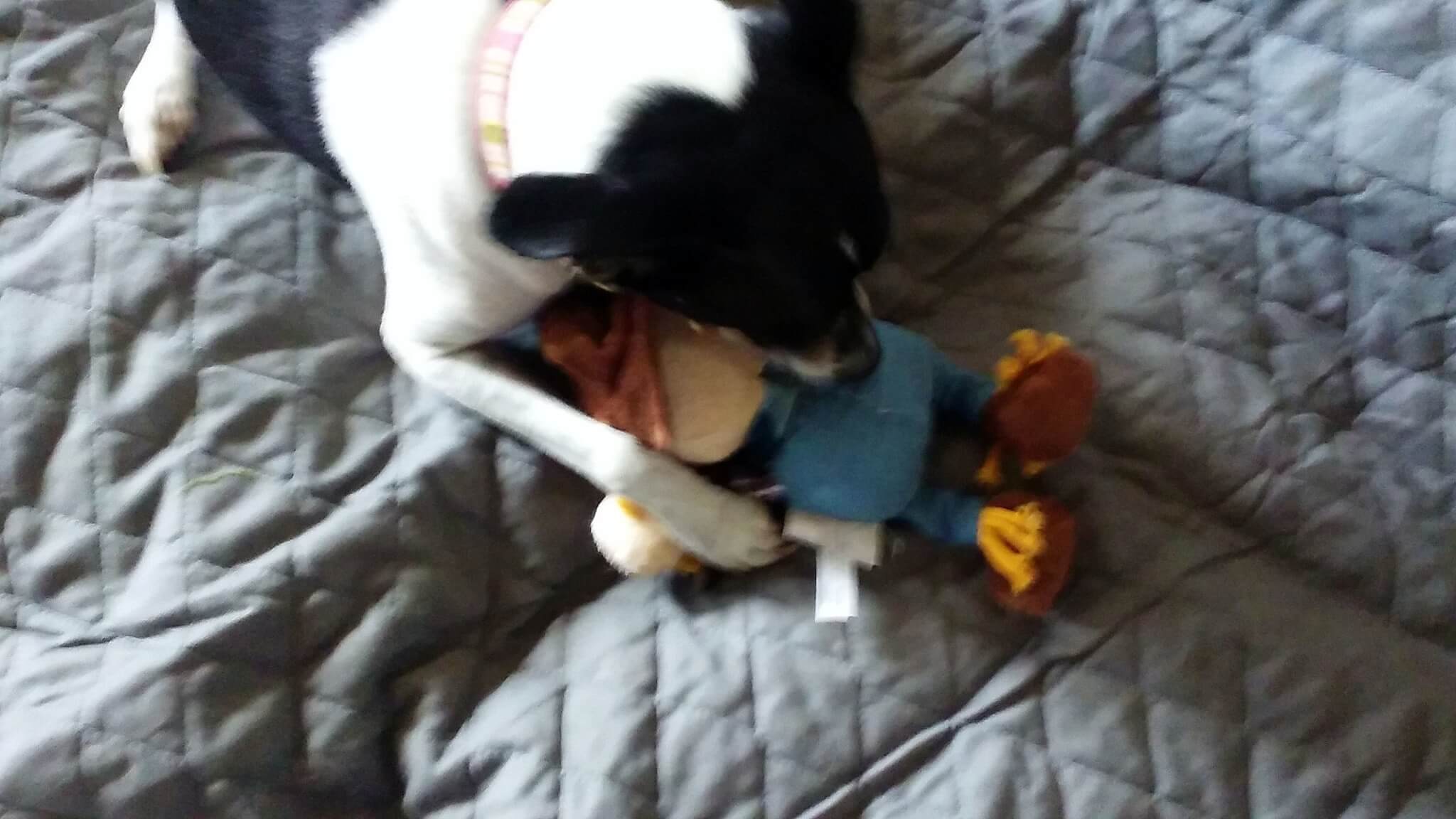 Bella Won