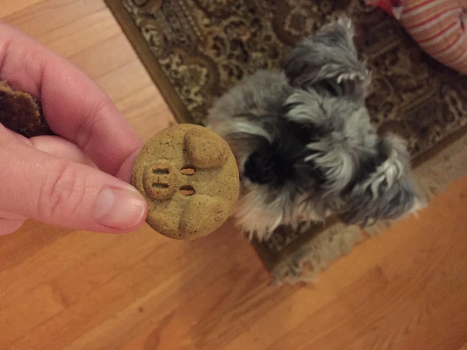 BarkBox May 2016 (8)