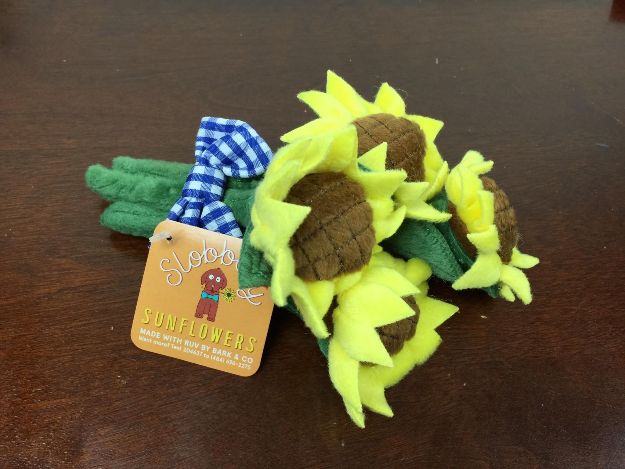 BarkBox May 2016 (4)