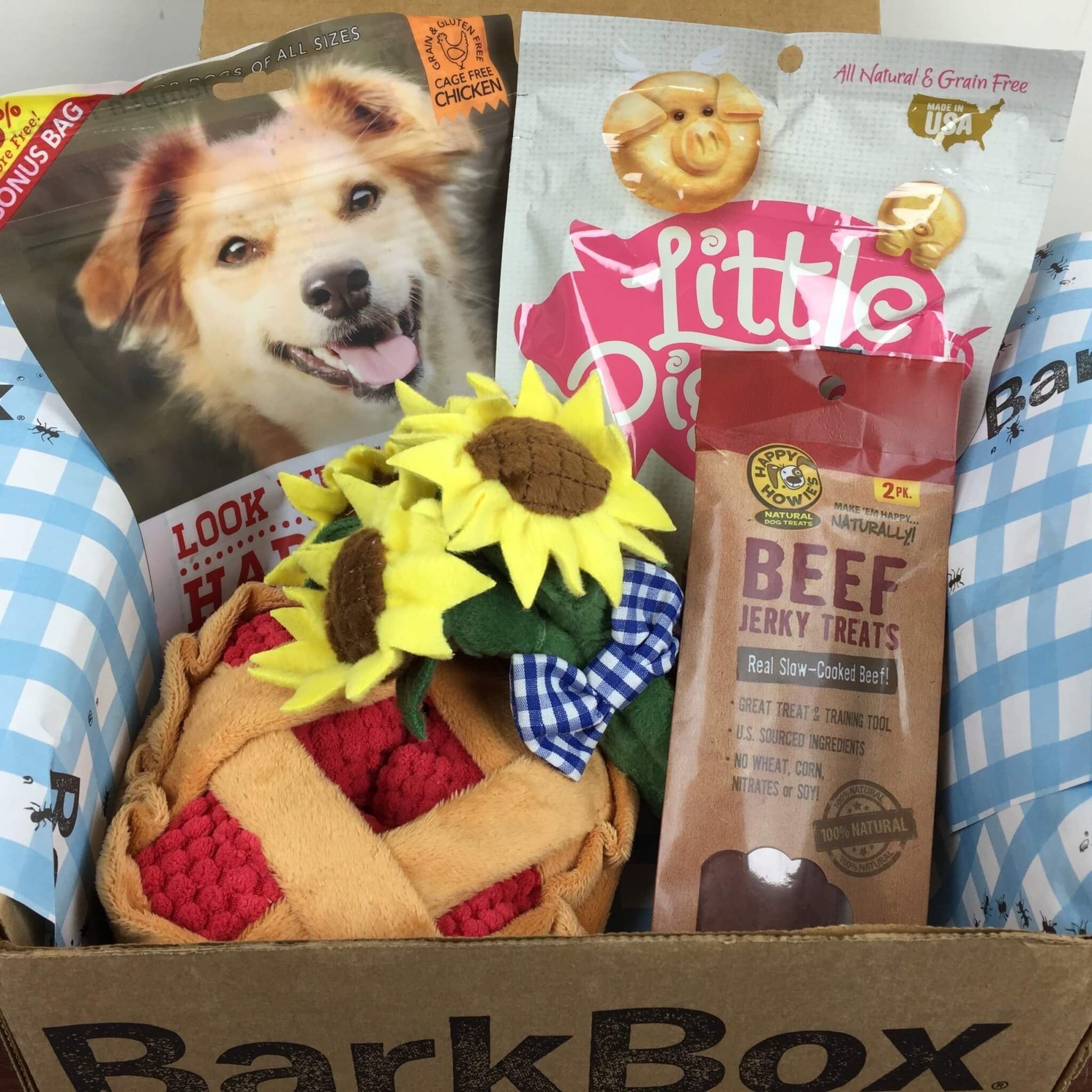 BarkBox May 2016 review