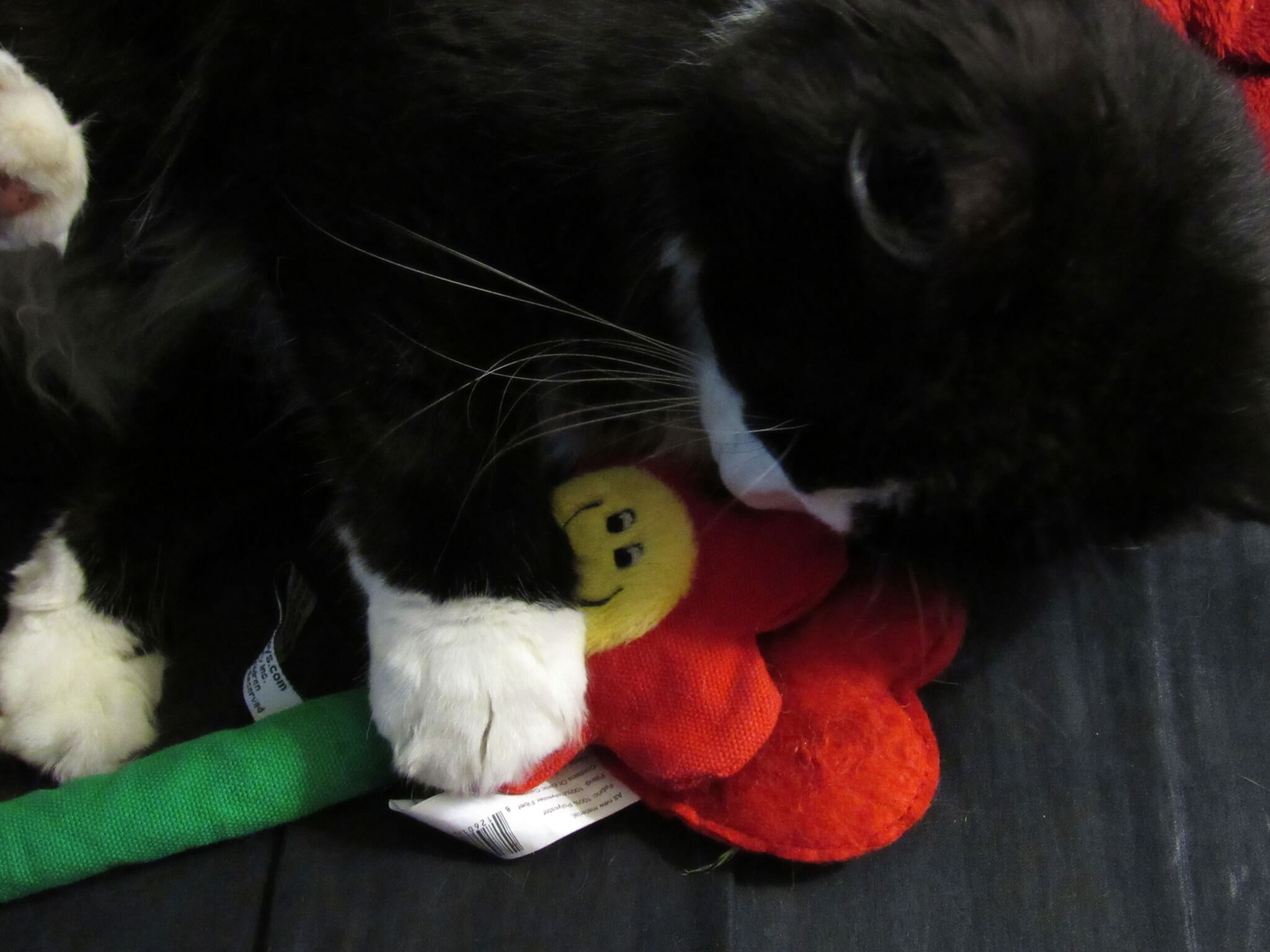 Sylvester