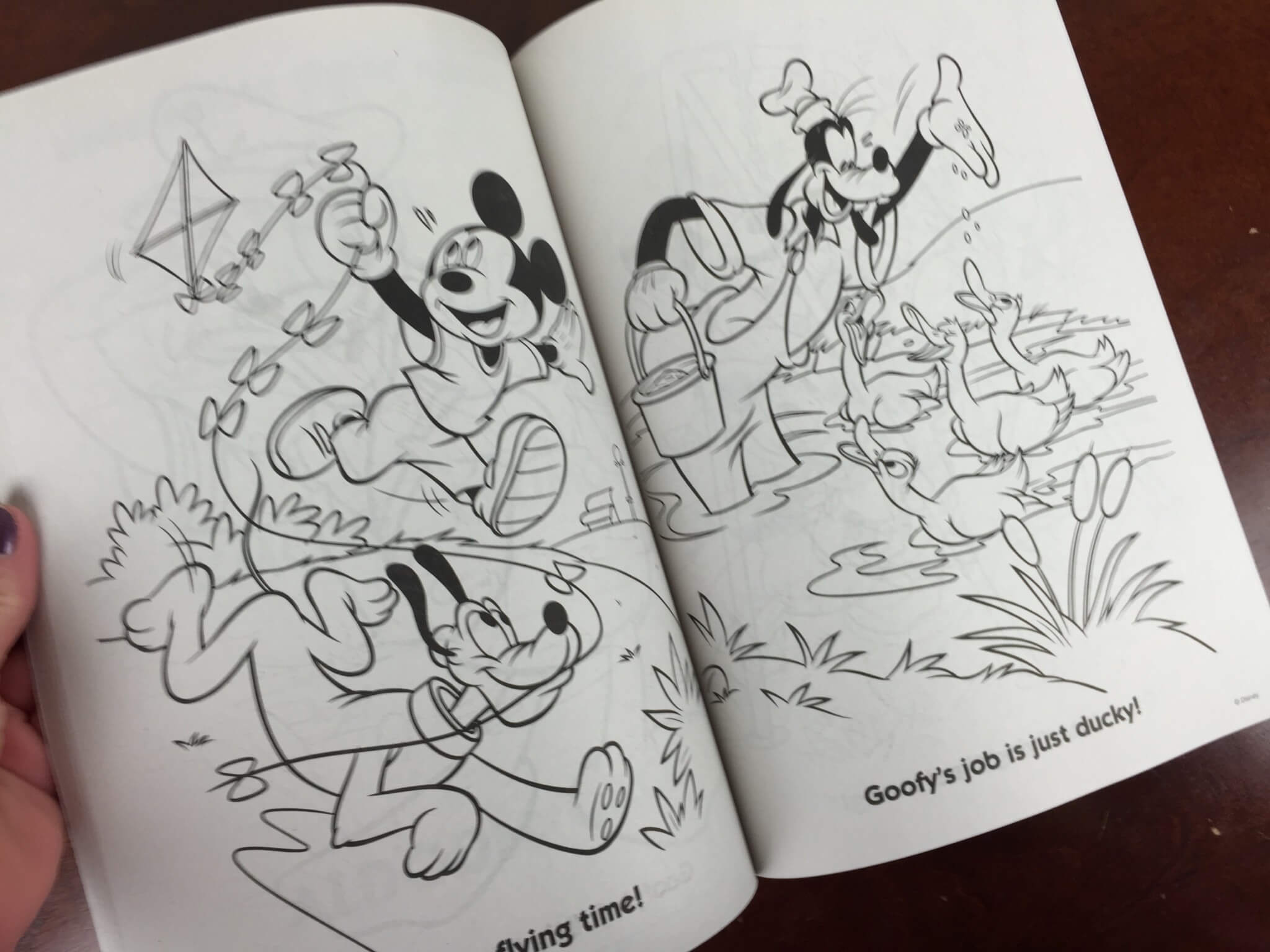 Mickey Monthly Box June 2016 (8)