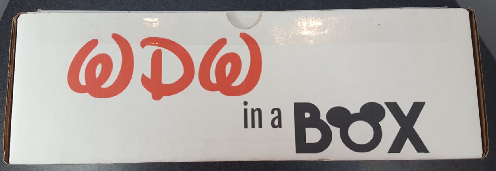 WDW in a Box June 2016 Wishes Monthly Subscription Box Review