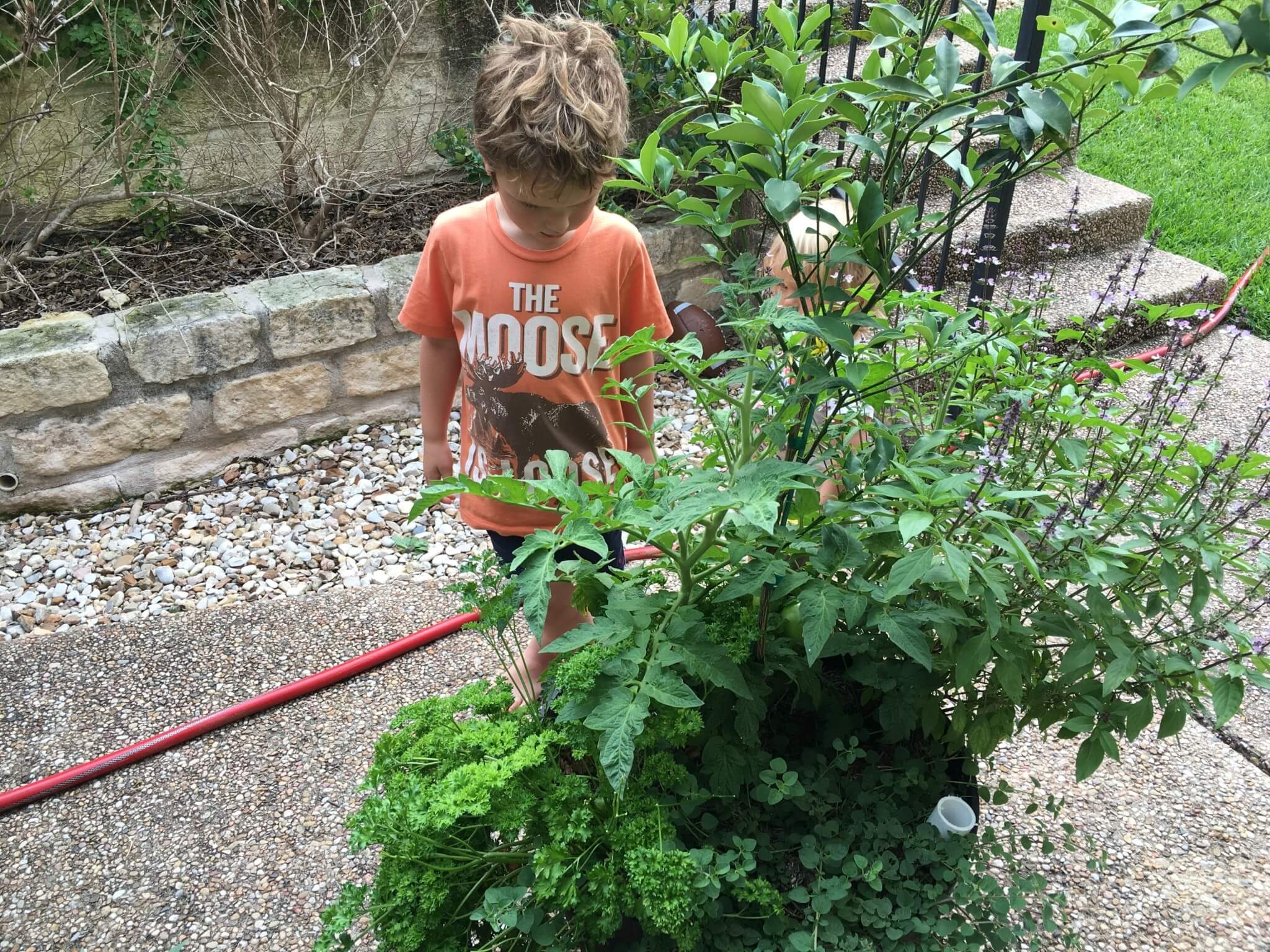 IMG_5535