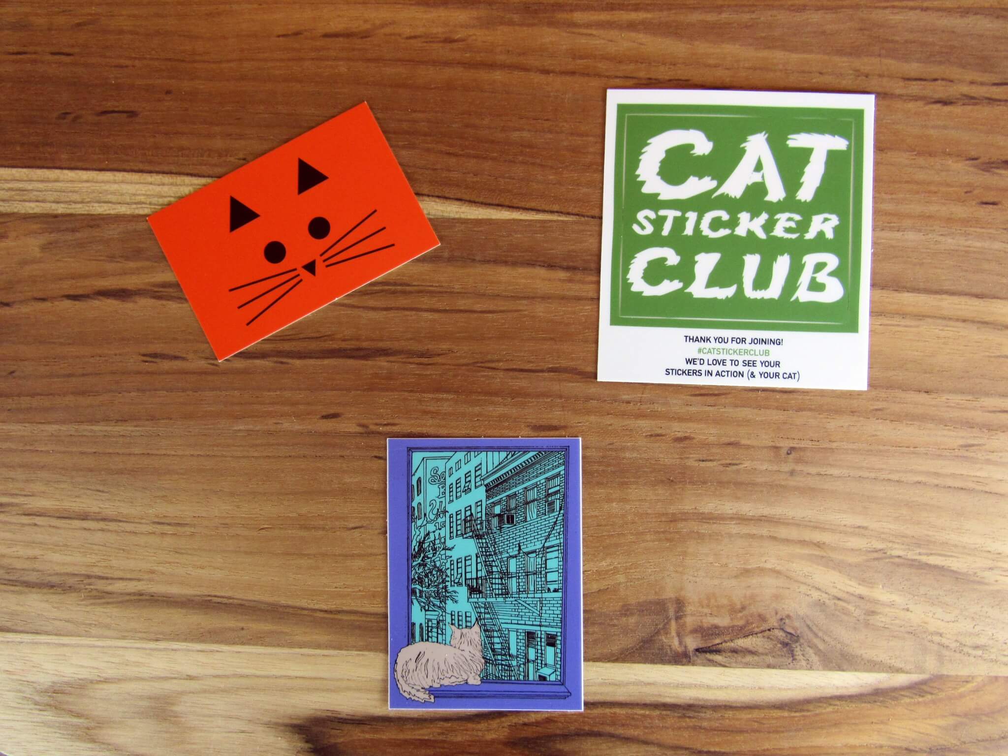 Cat Sticker Club June 2016 Subscription Review + Coupon