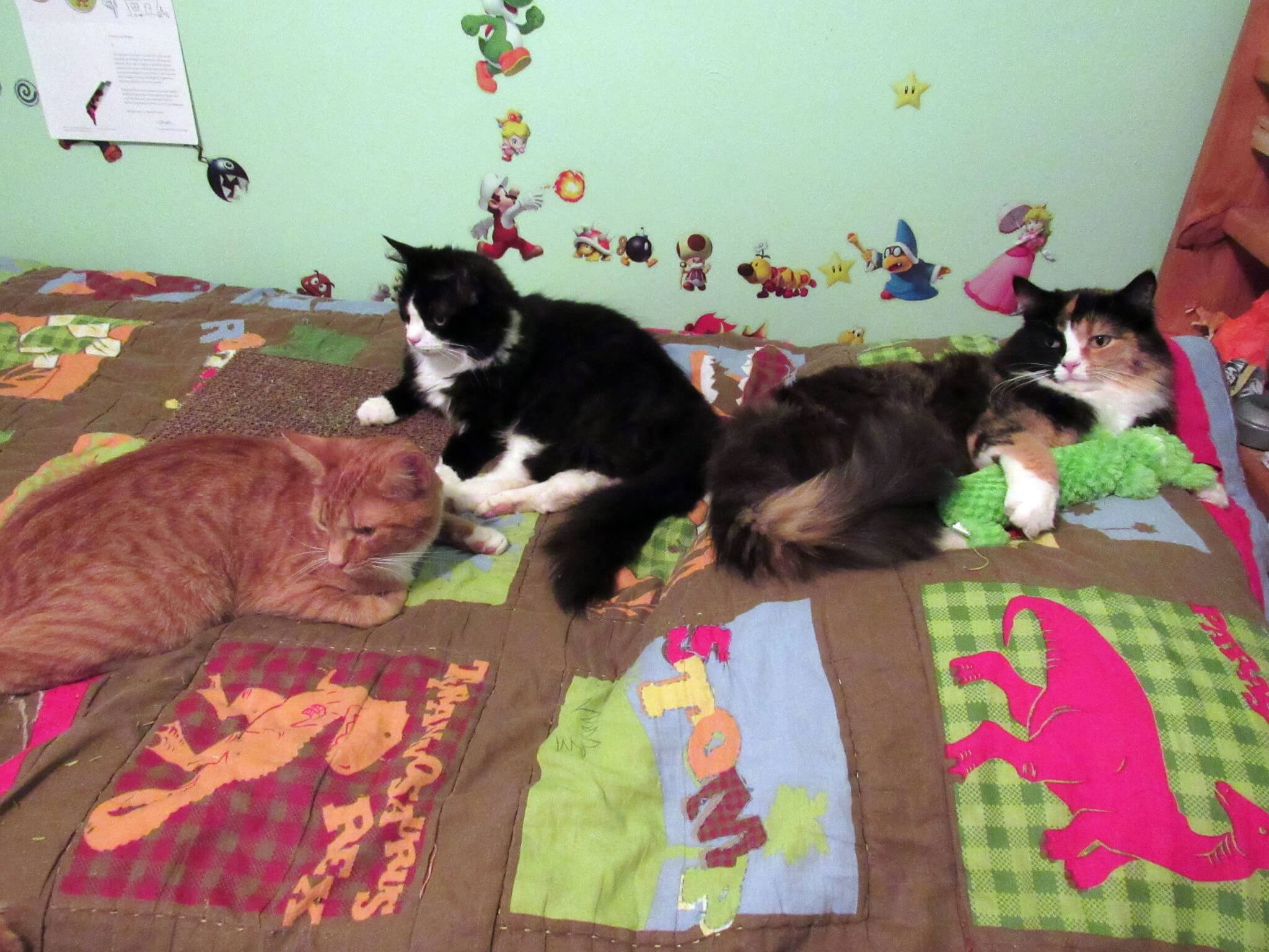 Puss in Boots, Sylvester, and Whiskers