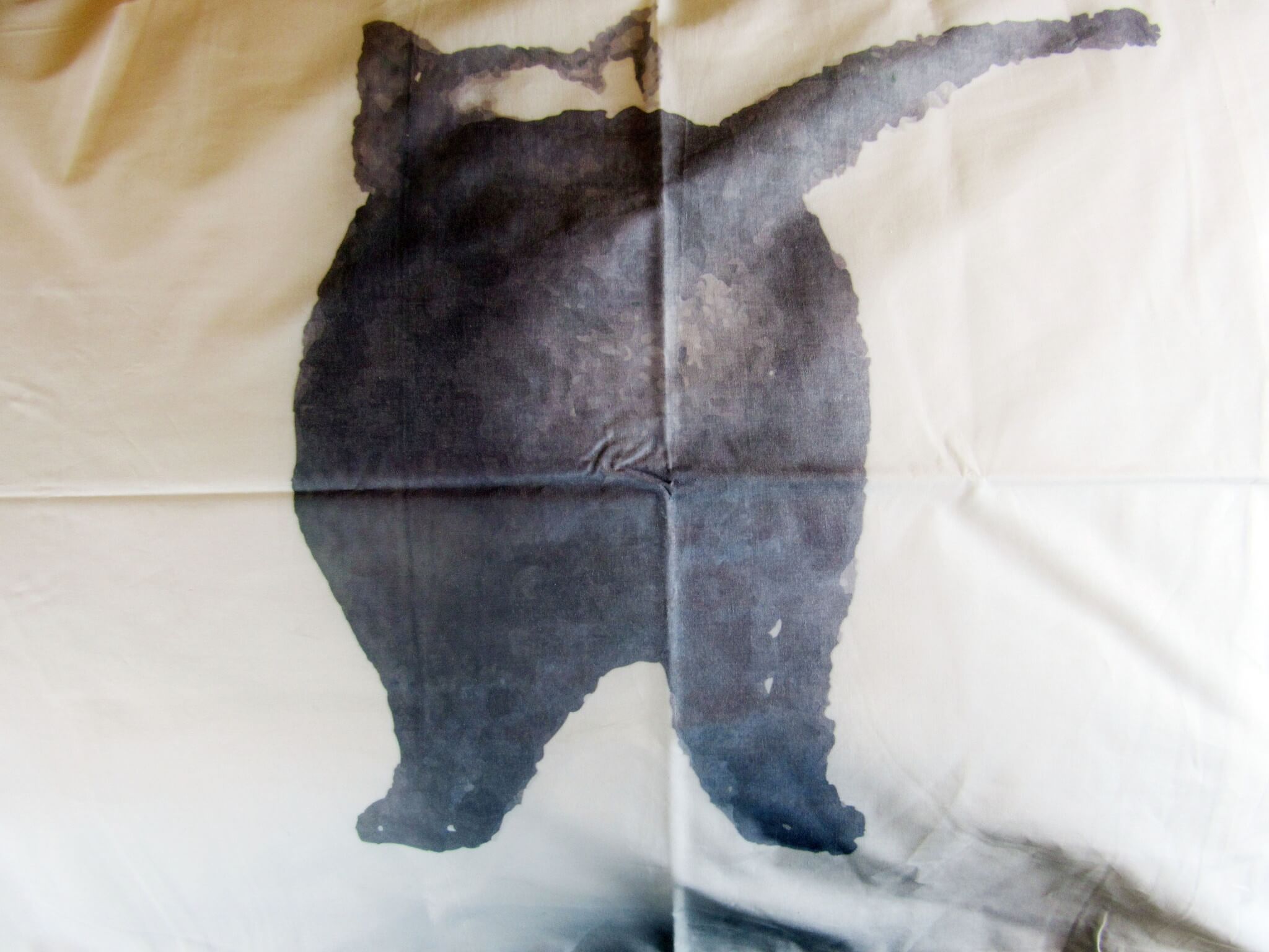 Pillow 2