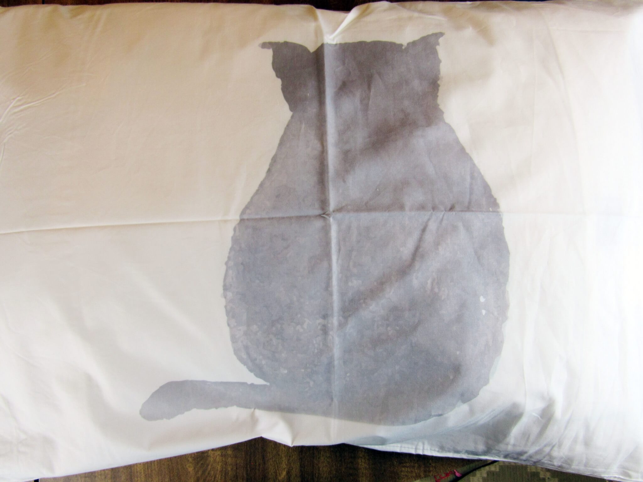 Pillow 1