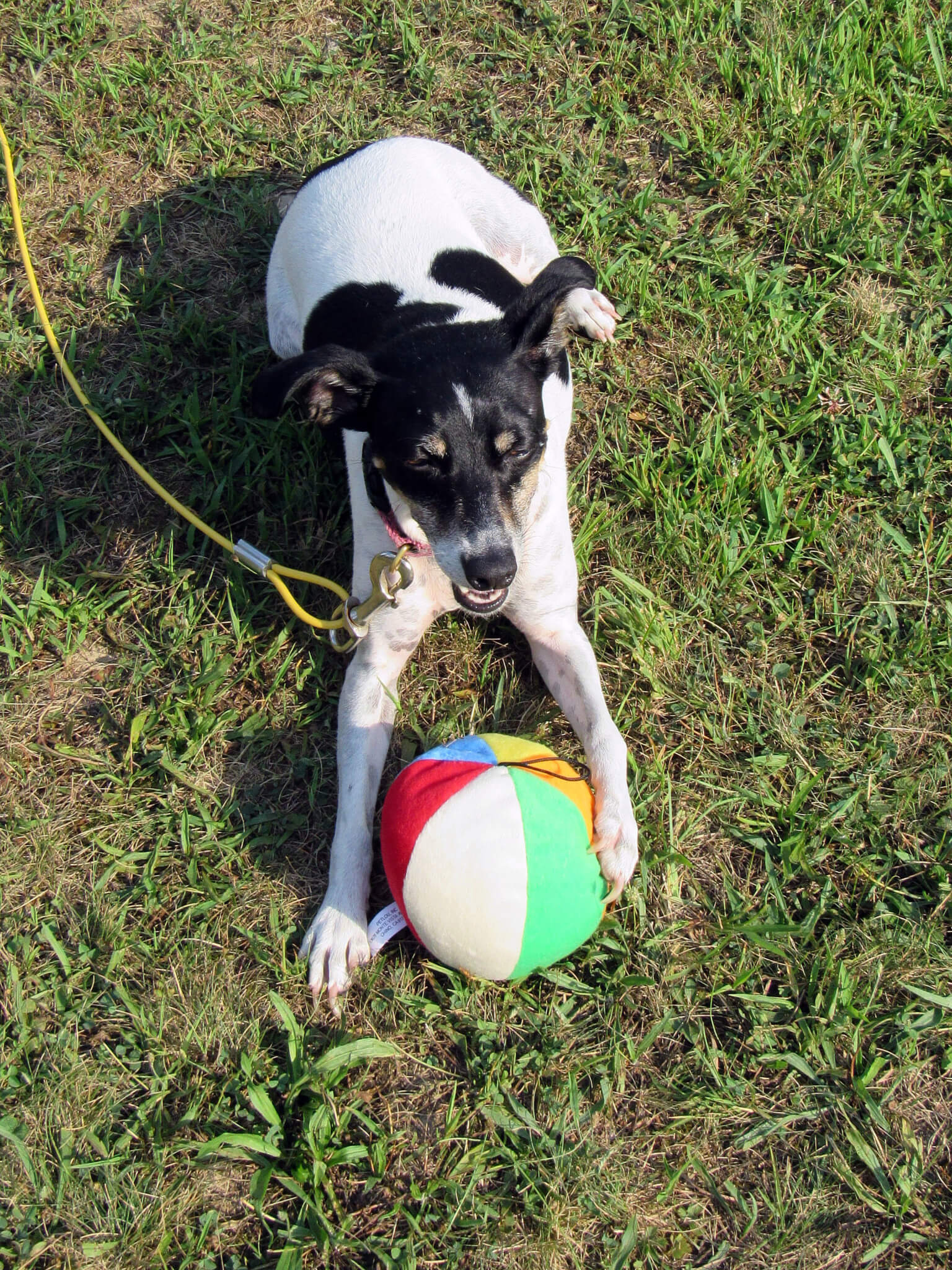 Love my toy!