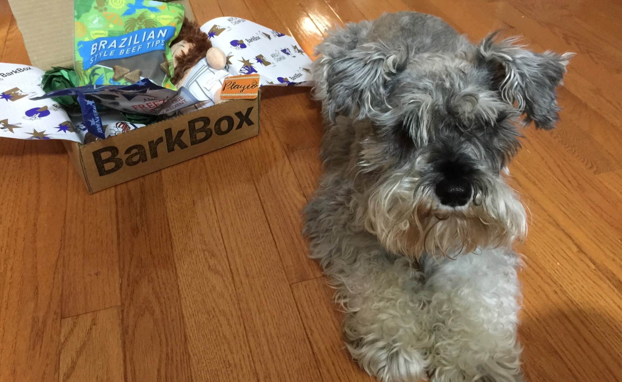 BarkBox July 2016 (10)