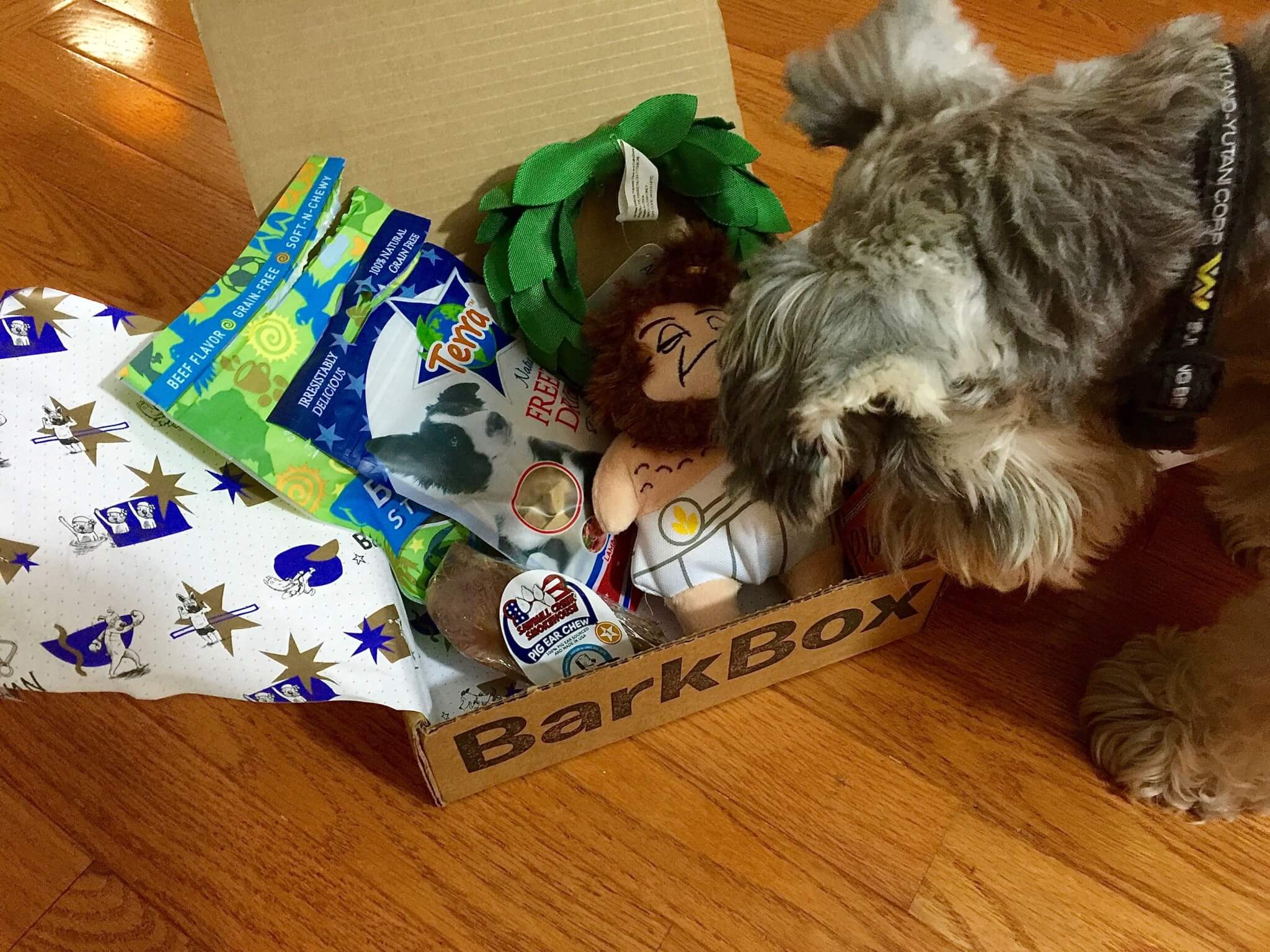 BarkBox July 2016 (7)