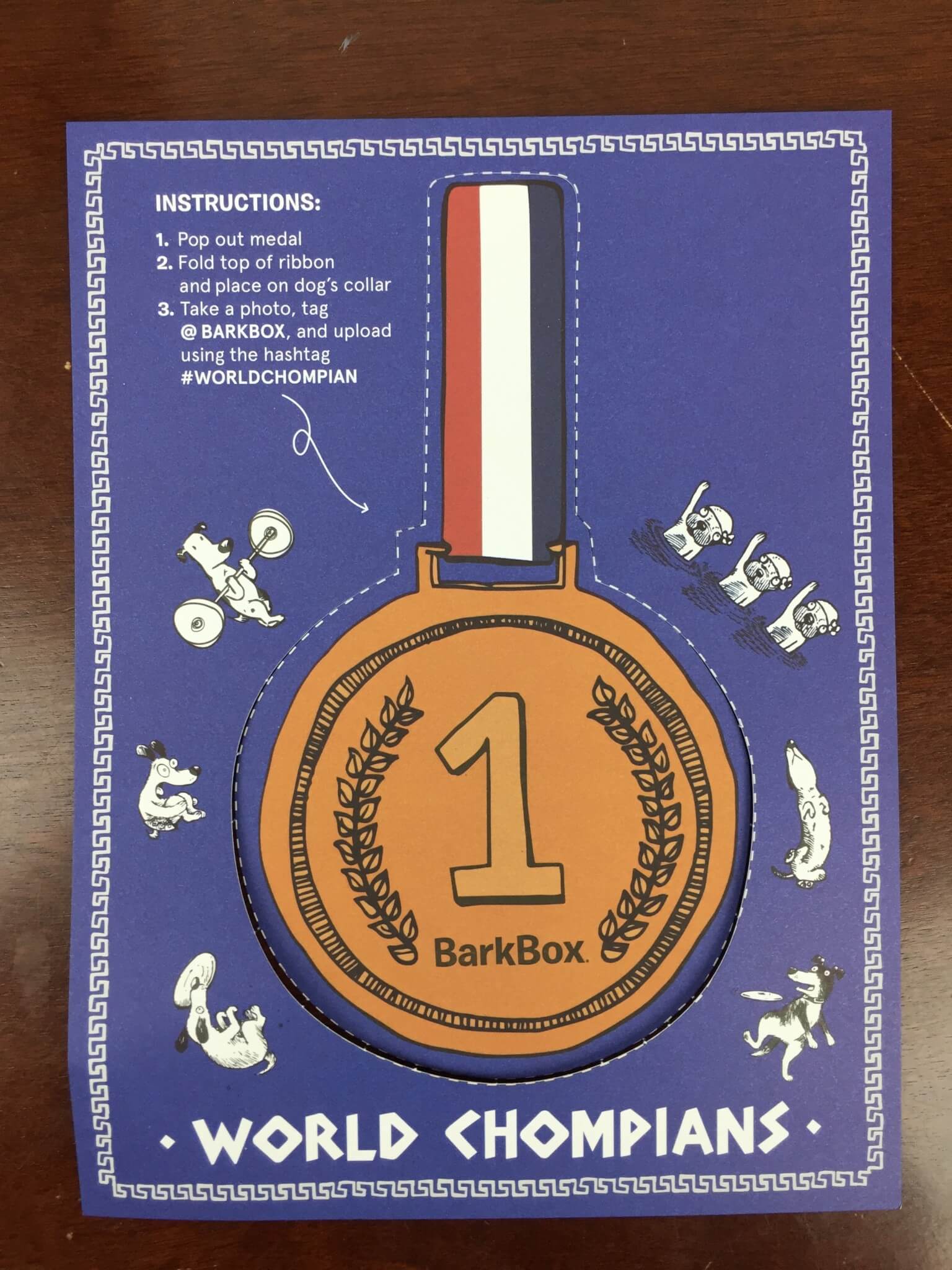 BarkBox July 2016 (1)