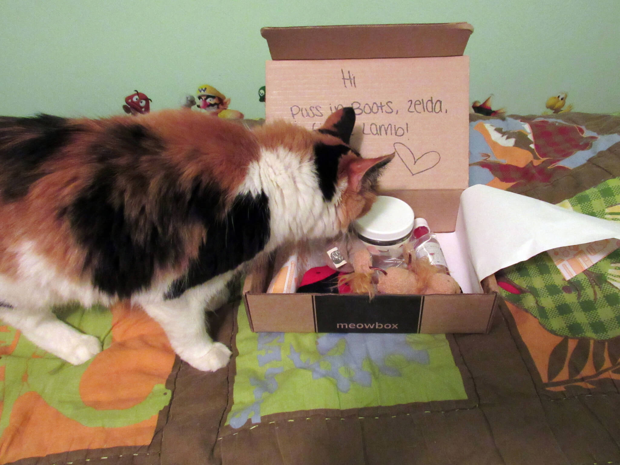 June 2016 Meowbox Subscription Box Review & Coupon