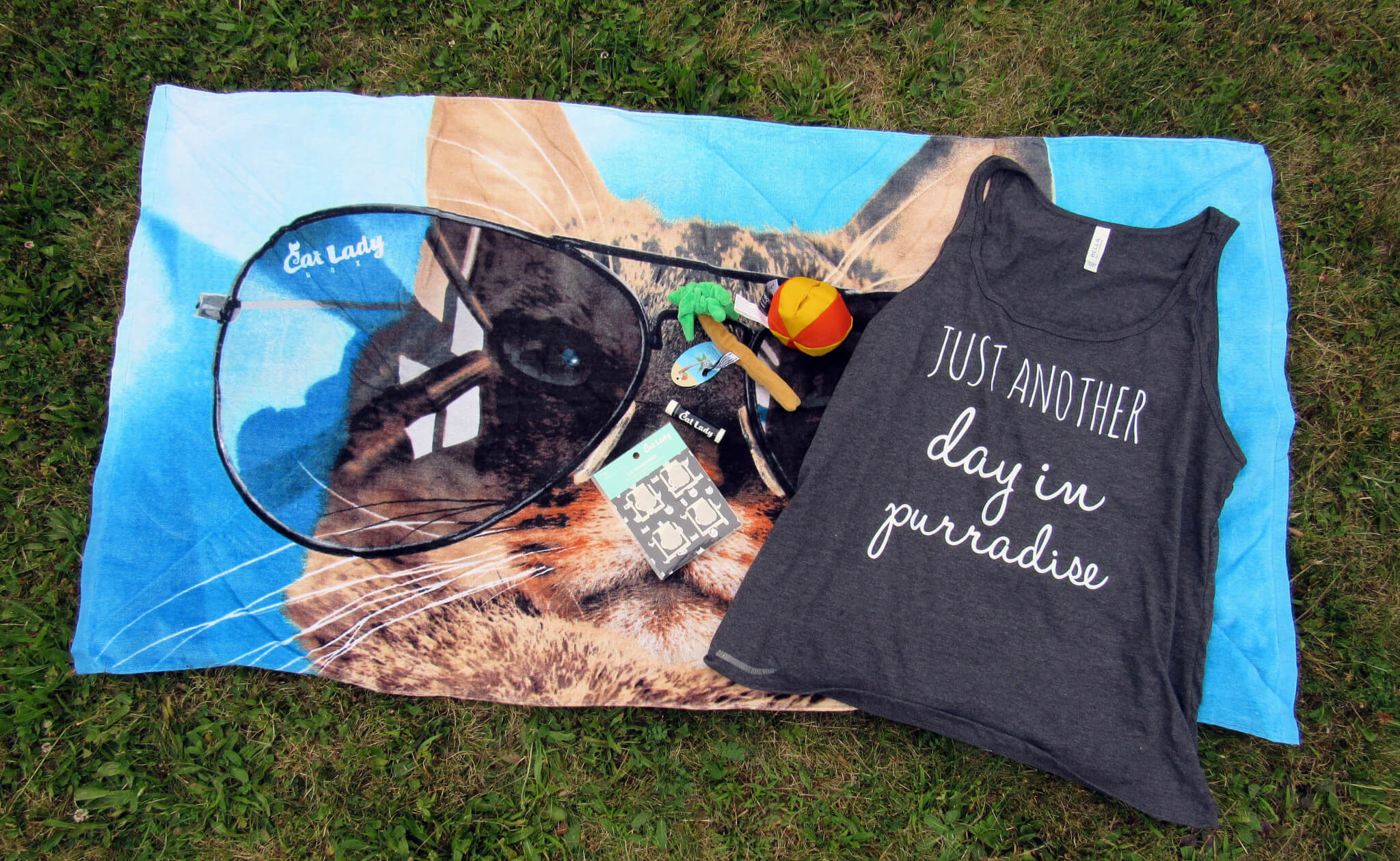 Cat Lady Box July 2016 Subscription Box Review