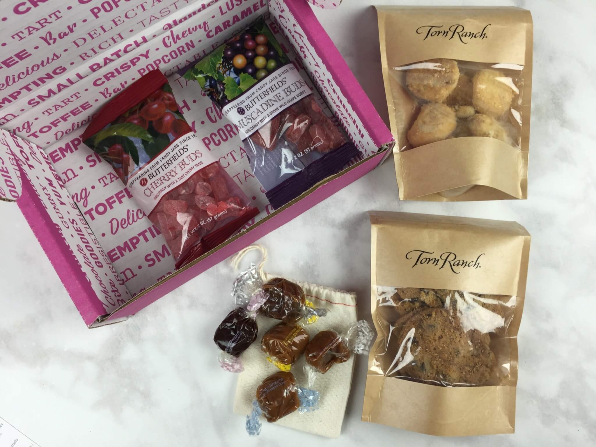 Treatsie August 2016 Subscription Box Review + Coupons