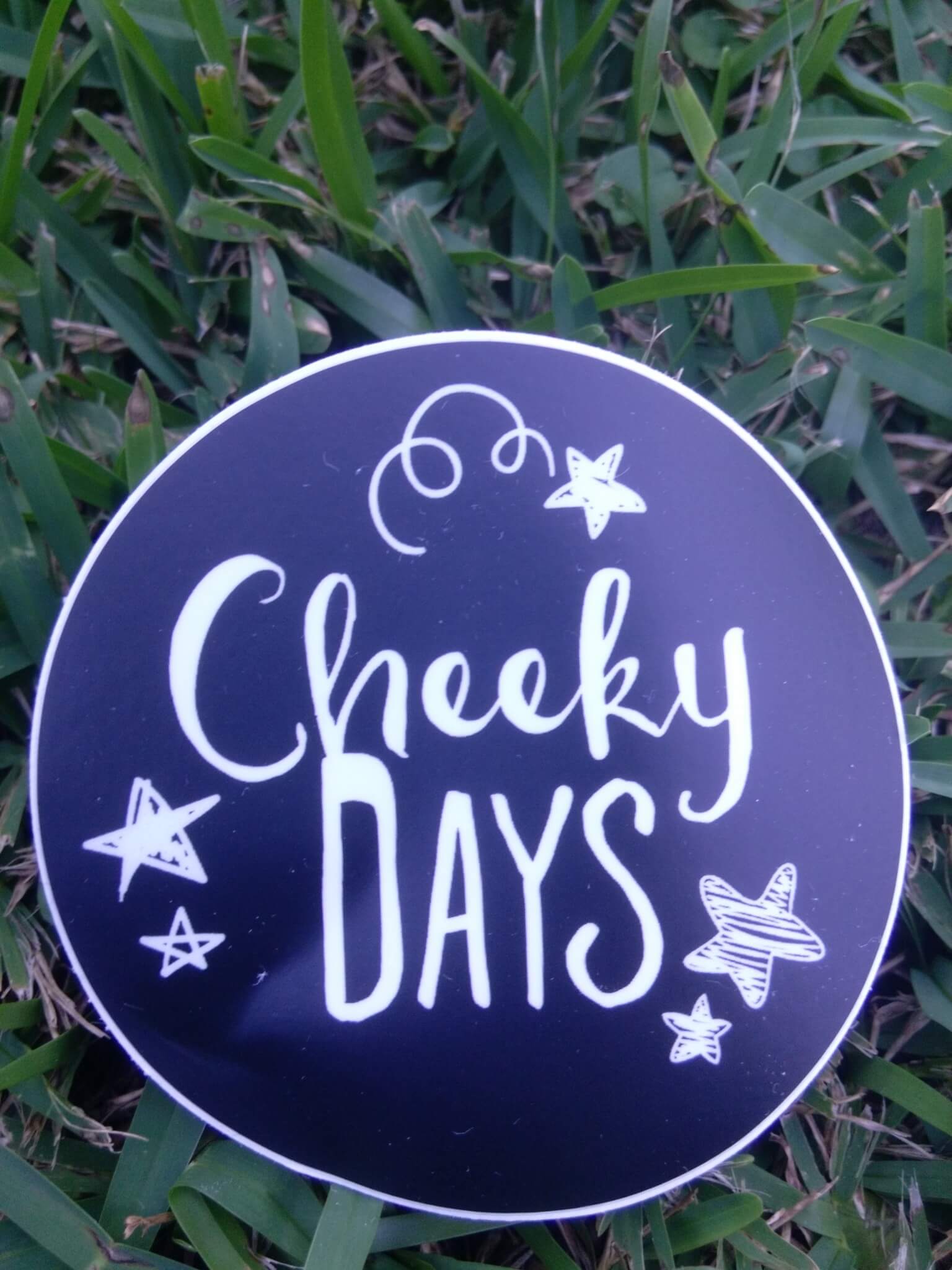 Cheeky (17)