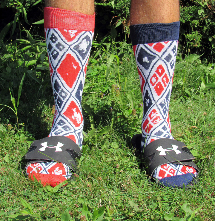 Suicide Squad Socks