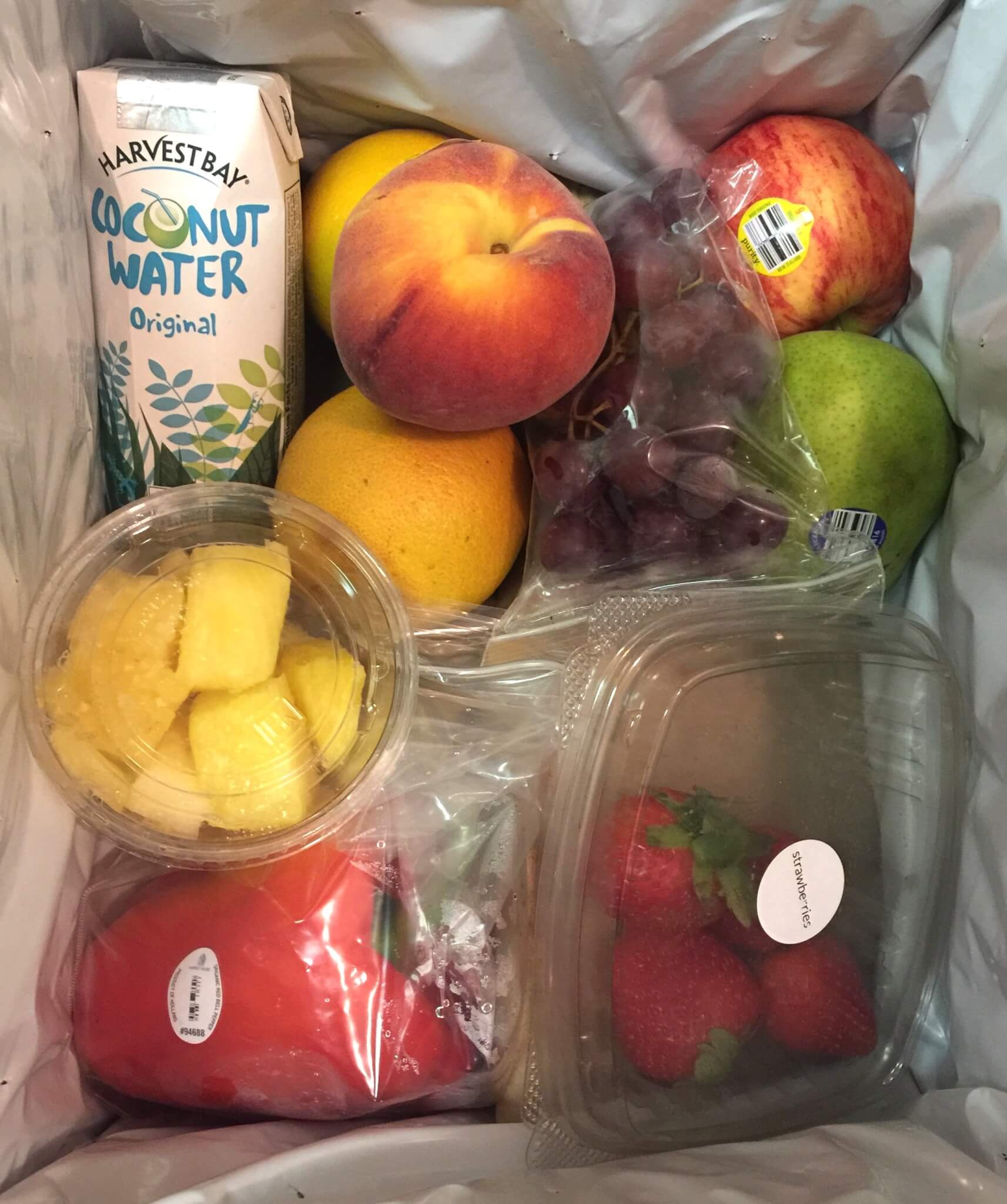 Green Blender August 2016 Subscription Box Review + Coupon