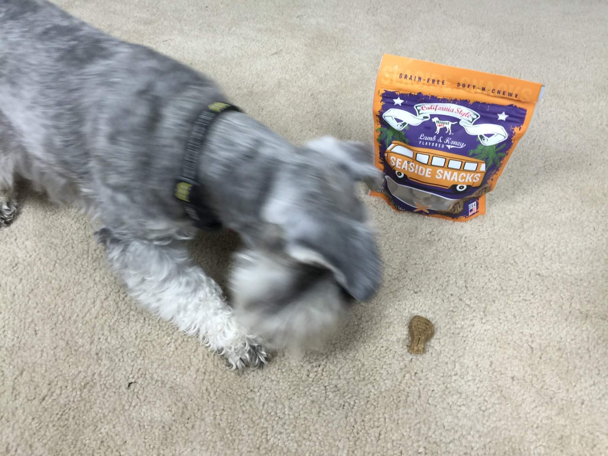 BarkBox August 2016 (17)