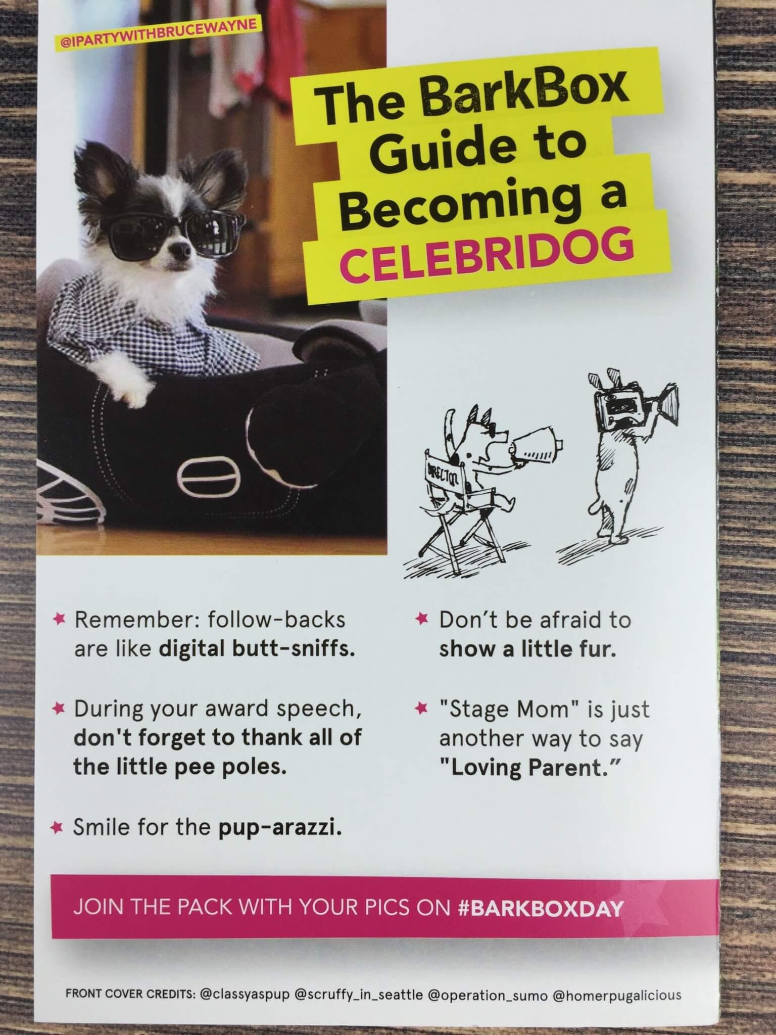 BarkBox August 2016 (3)