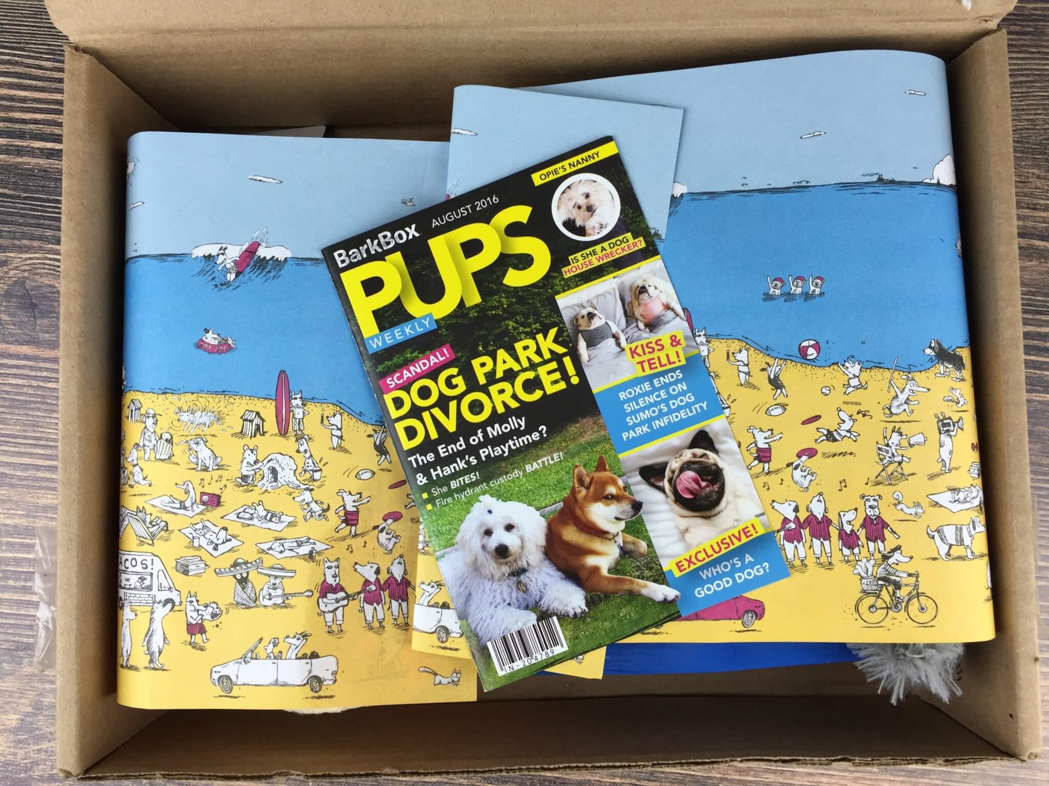 BarkBox August 2016 unboxing