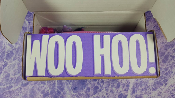 NerdBlockJrGirls - Aug2016_woohoo