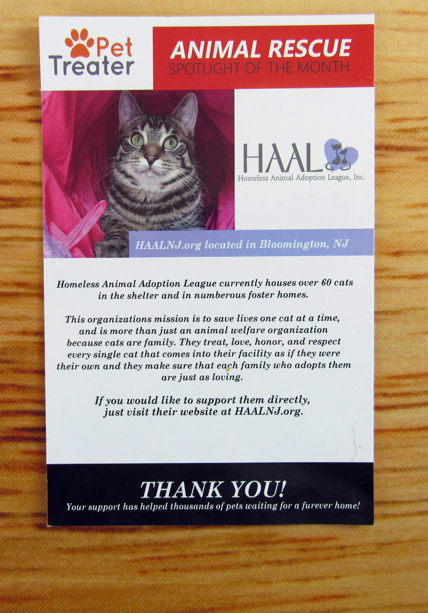 Charity of the Month