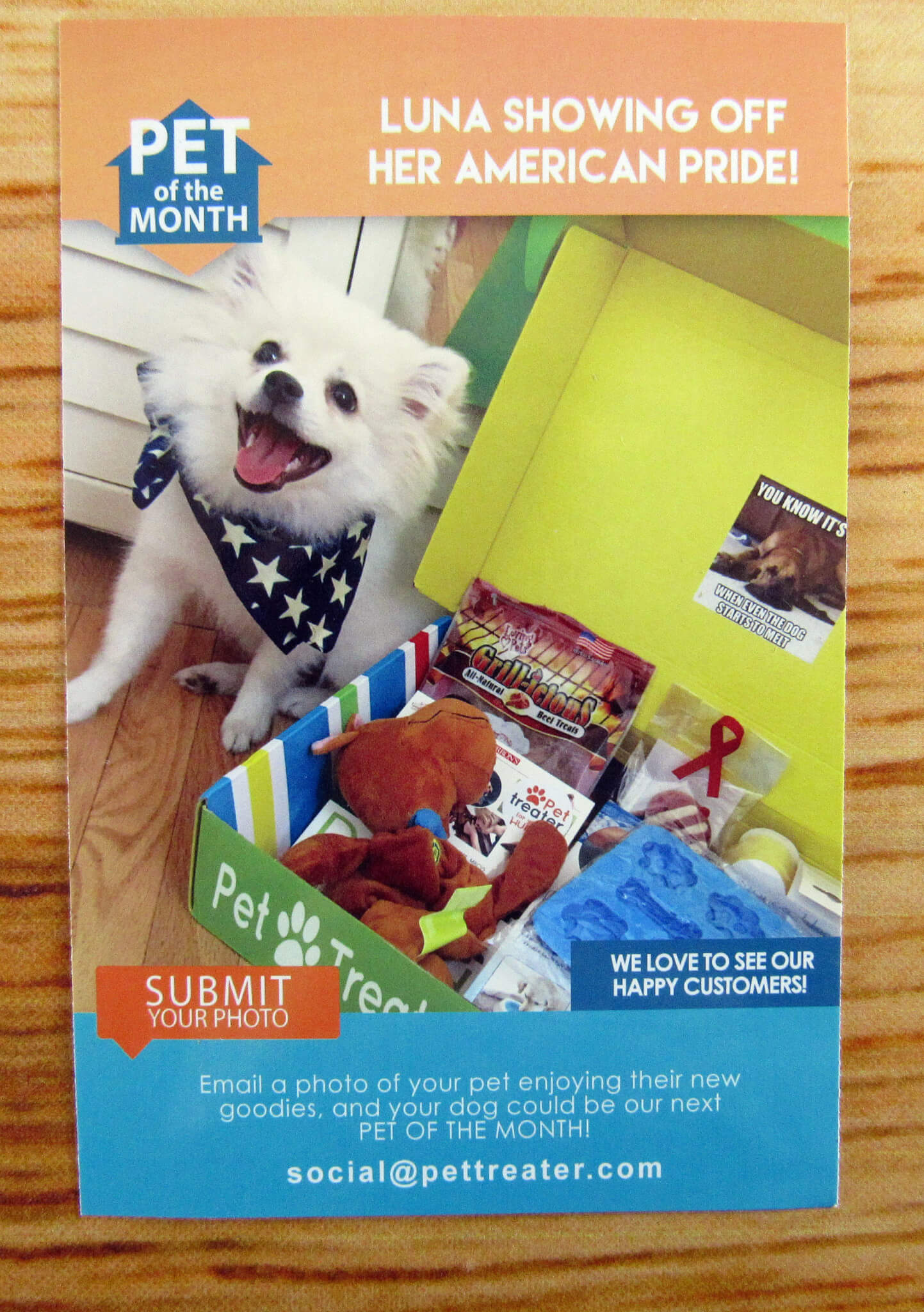 Pet of the Month