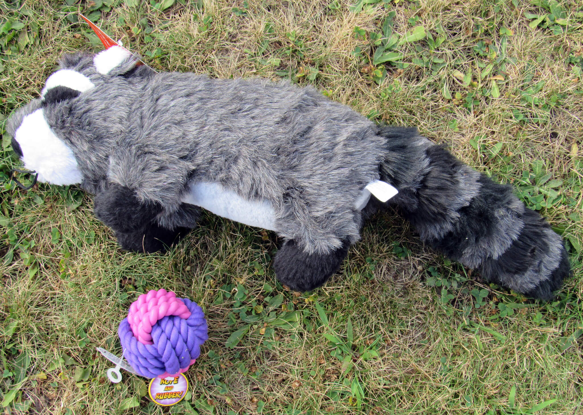 Large Raccoon Toy and Large Ball