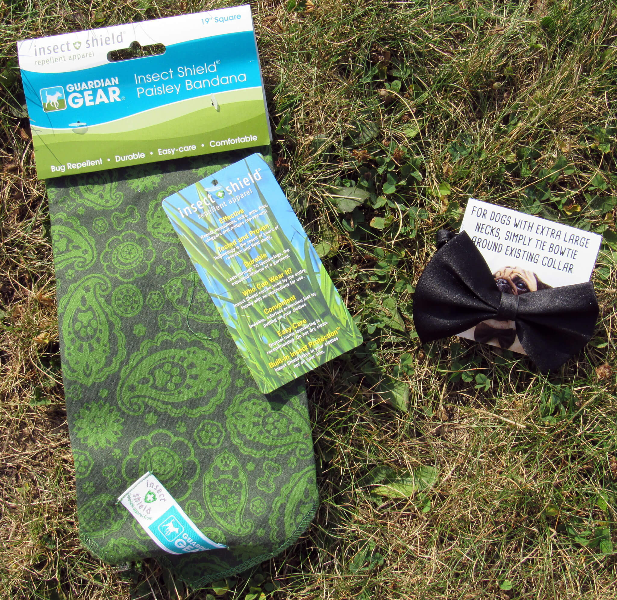 Insect Shield Paisley Bandana and Black BowTie
