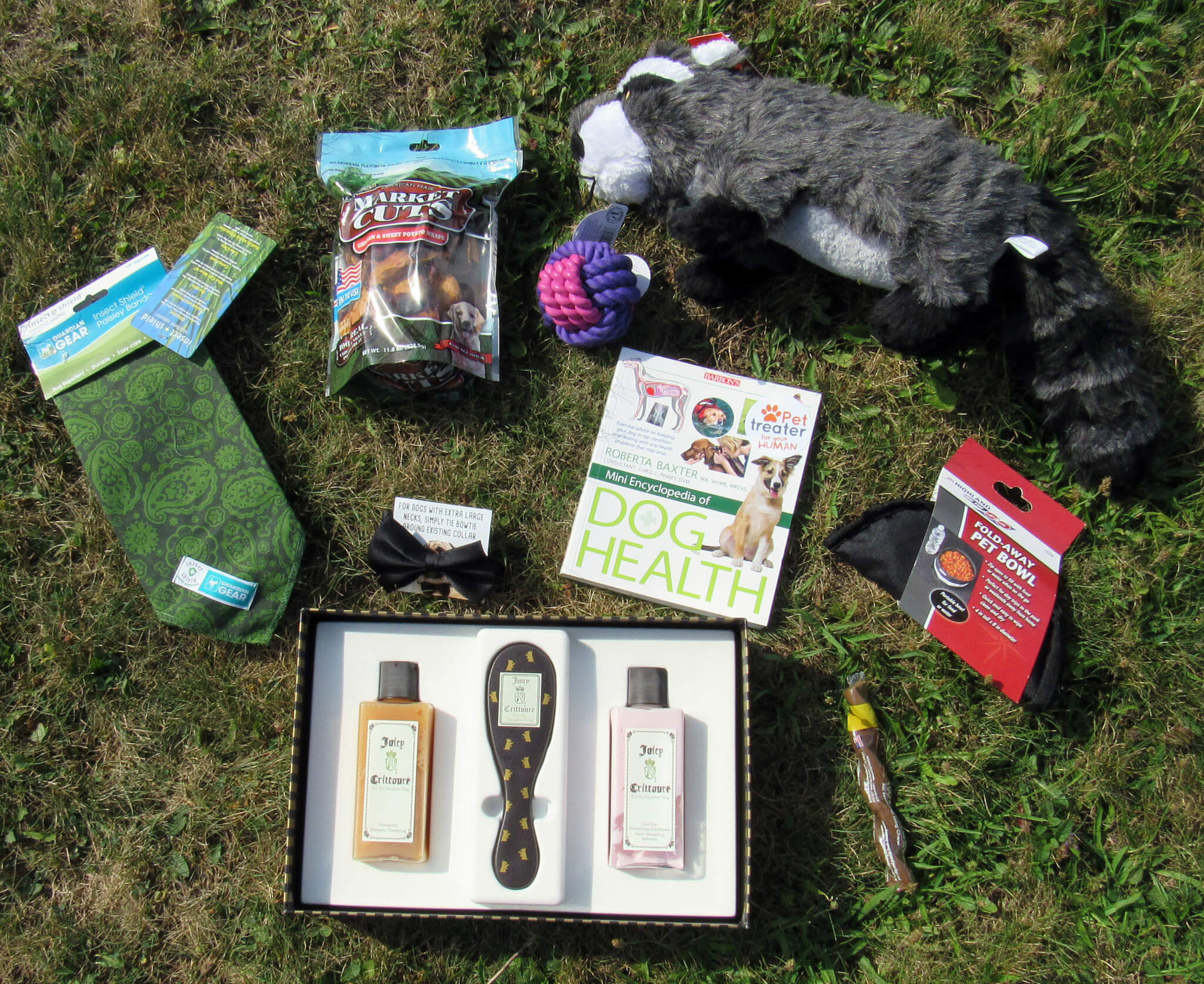 Pet Treater August 2016