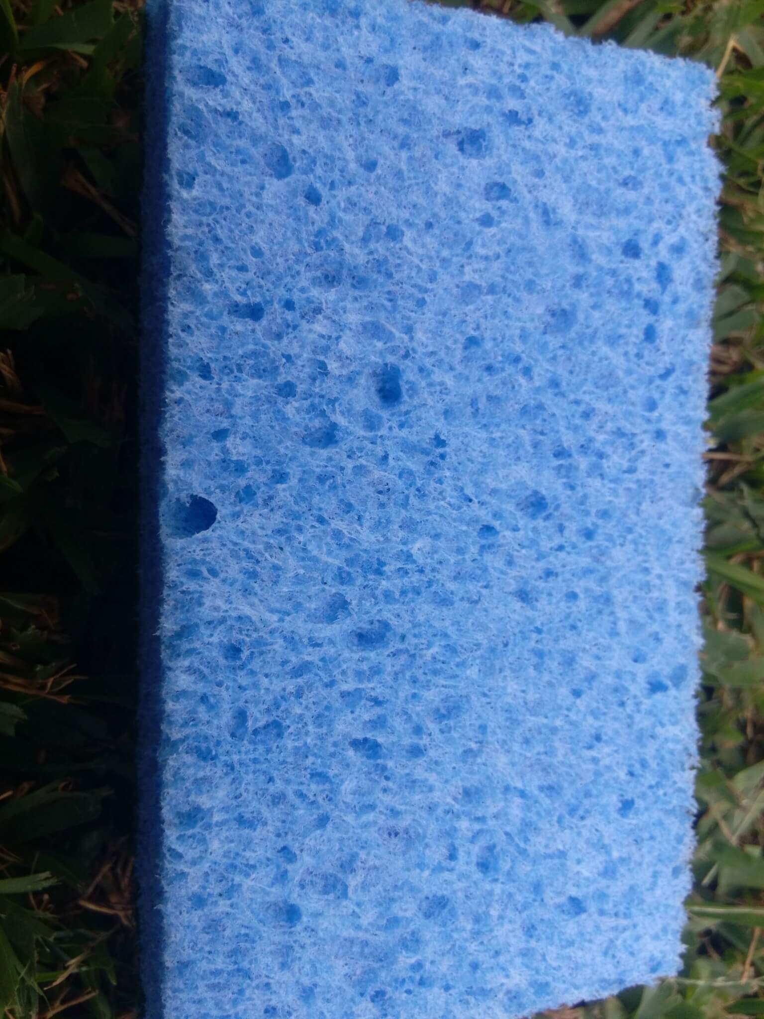 sponge club (6)