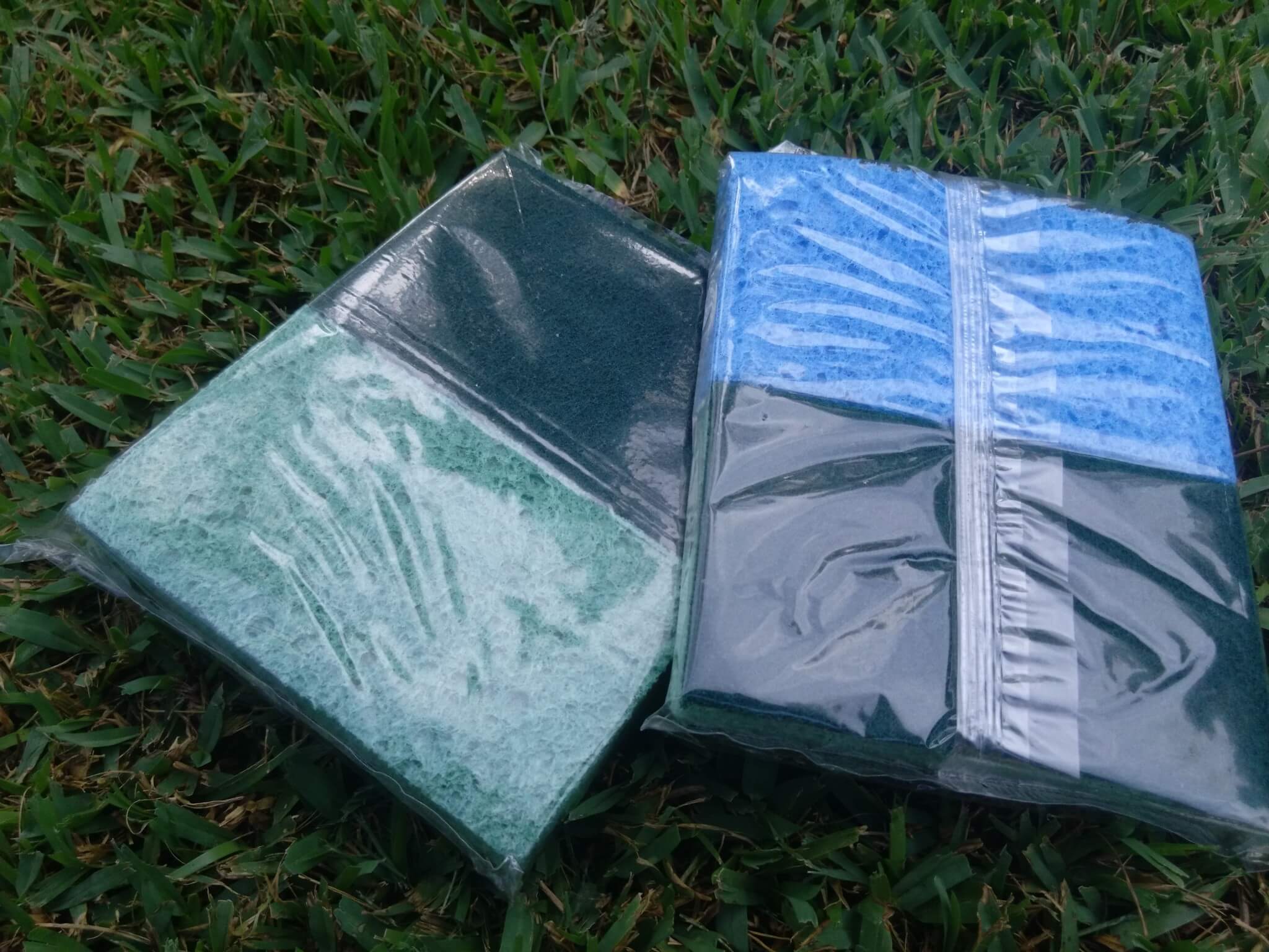 sponge club (4)