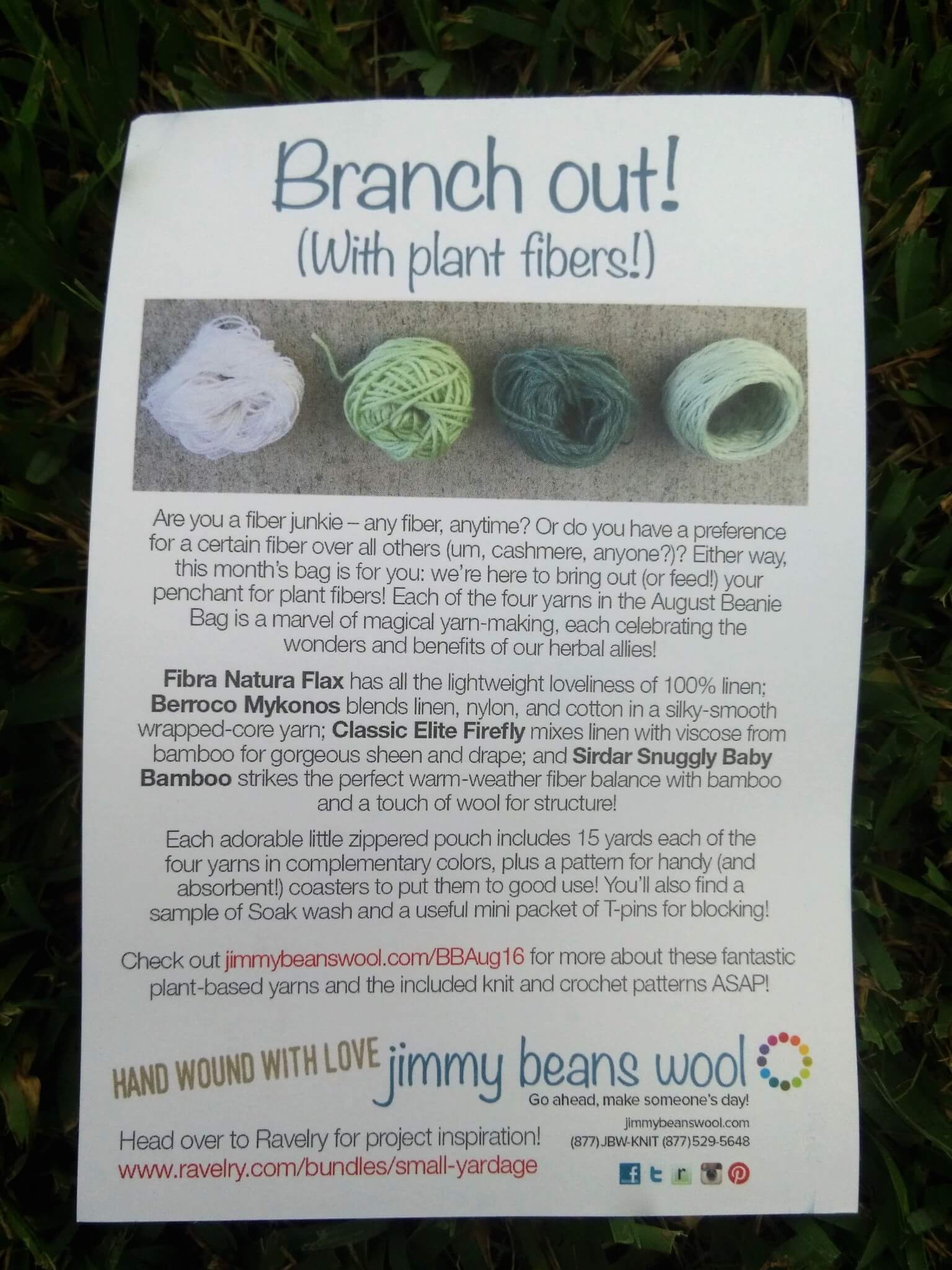 Jimmy Bean August 2016 (14)