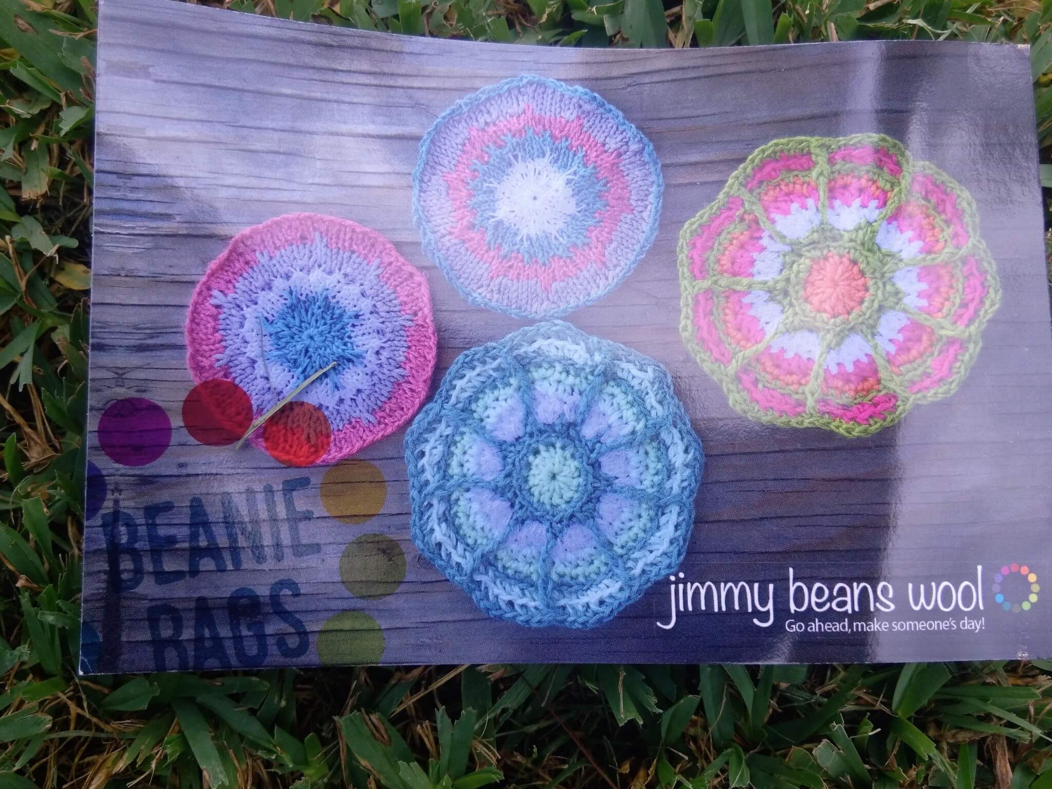 Jimmy Bean August 2016 (13)
