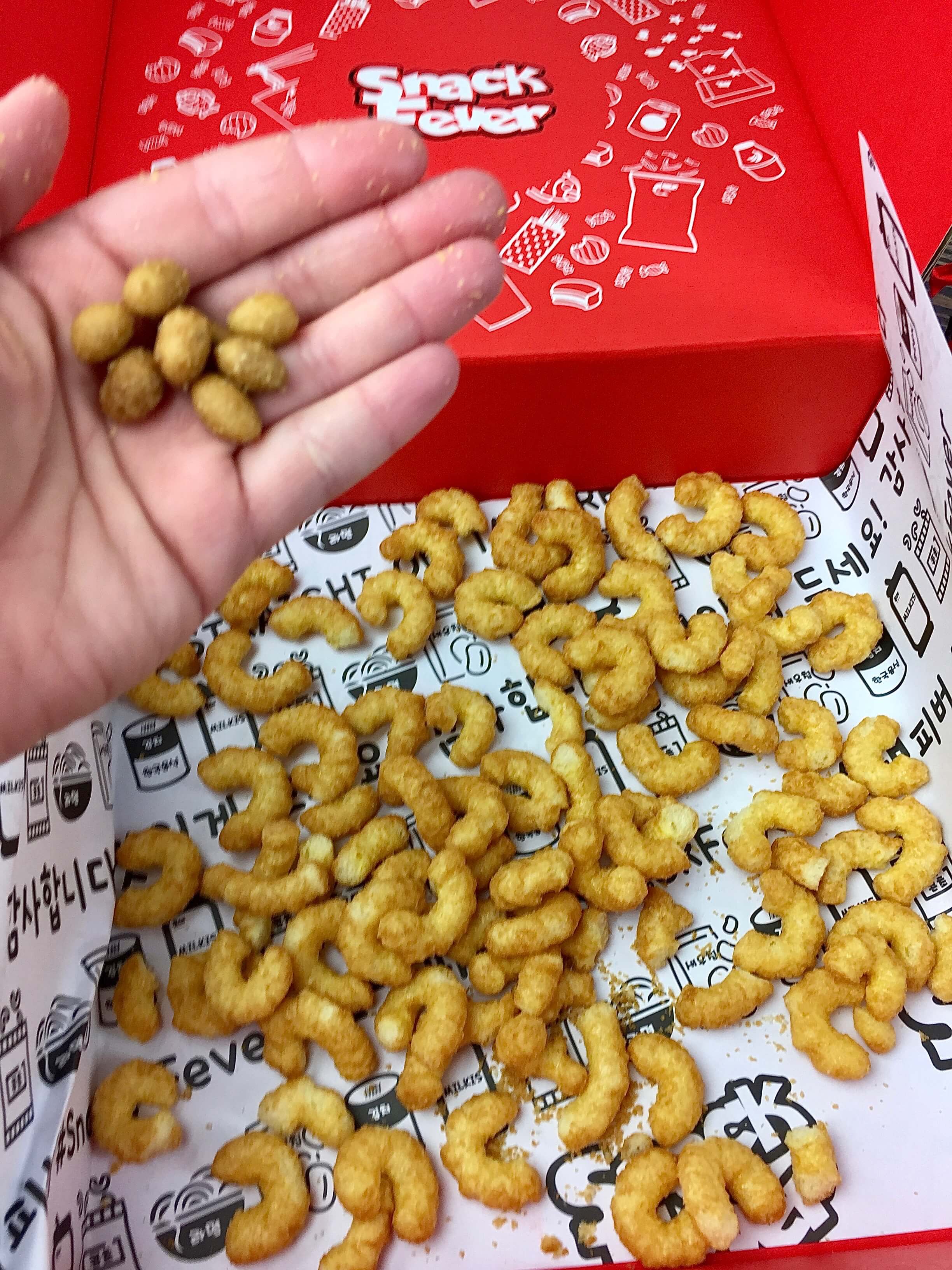 snack-fever-deluxe-box-september-2016-15