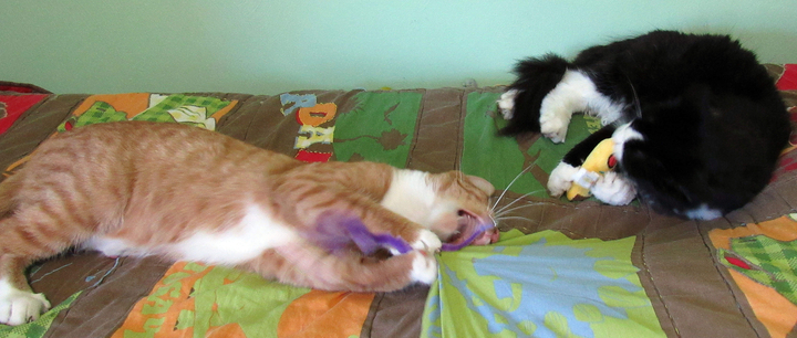 Puss in Boots and Sylvester