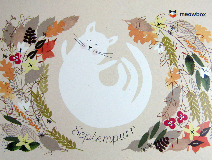 meowboxseptember1604