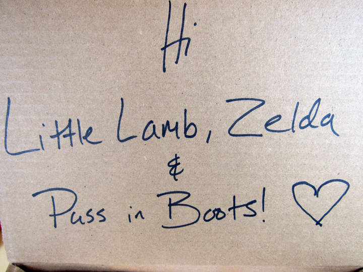 Names on the box