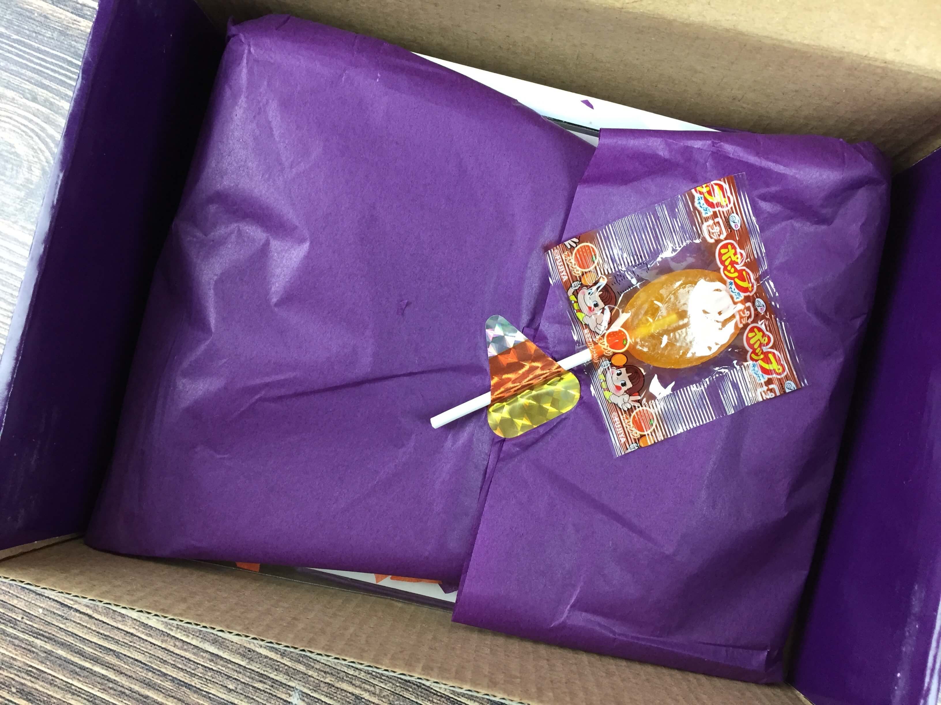 stickii-halloween-limited-edition-box-september-2016-unboxing