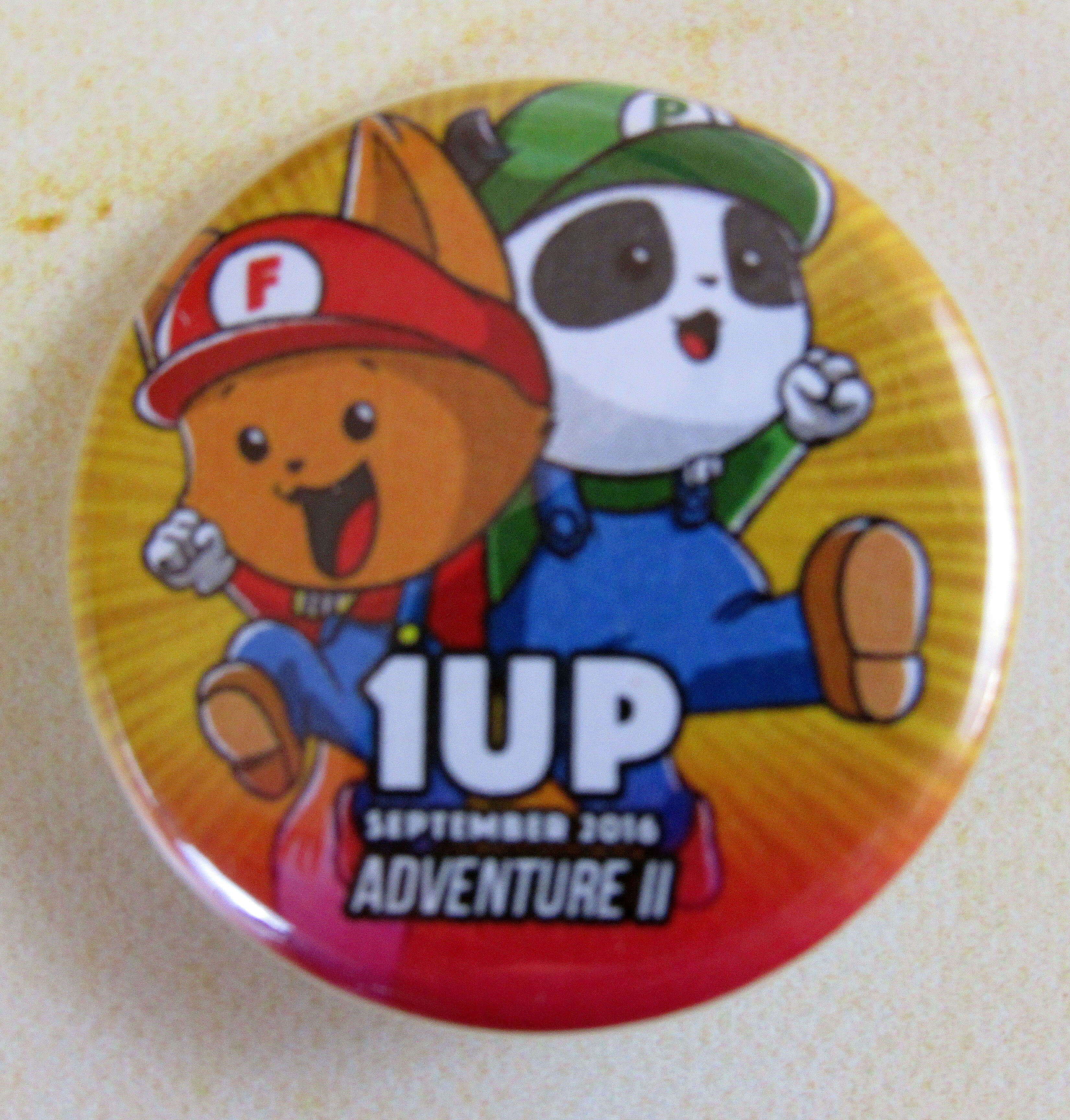 Pin