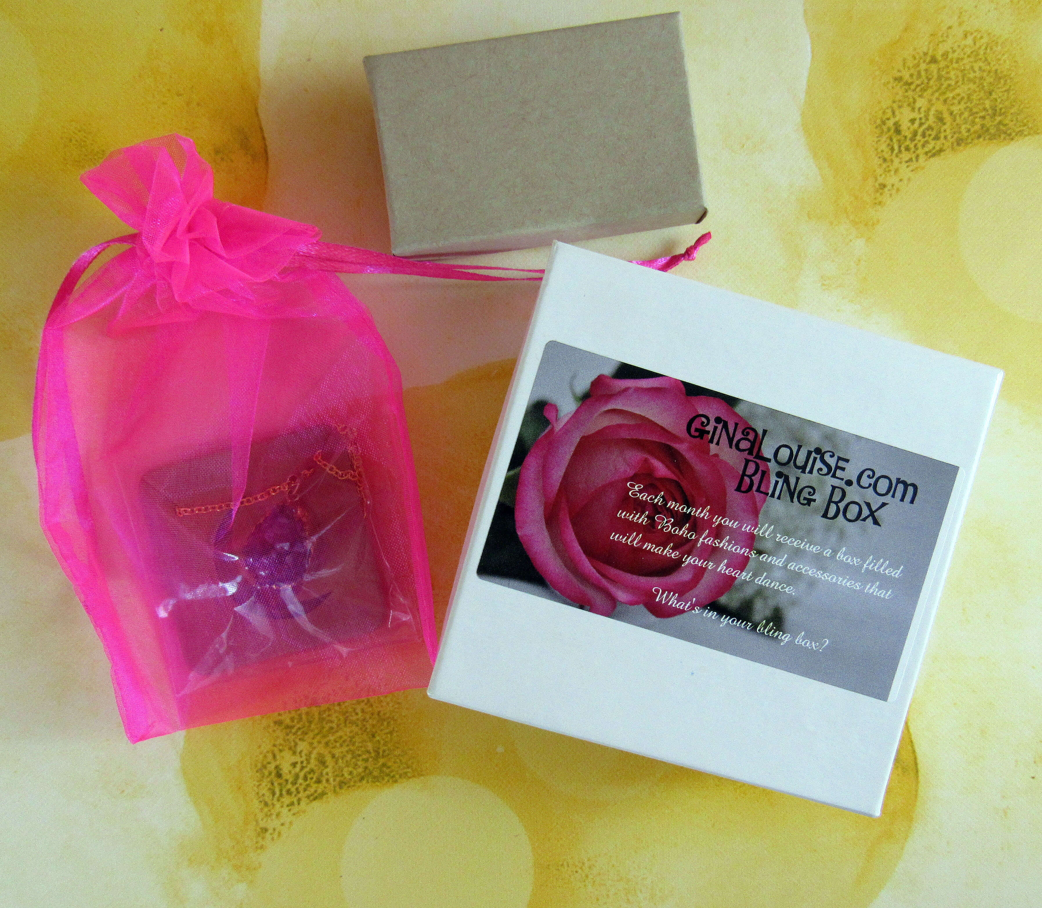 Gina Louise Jewelry Pouch September 2016 Subscription Review