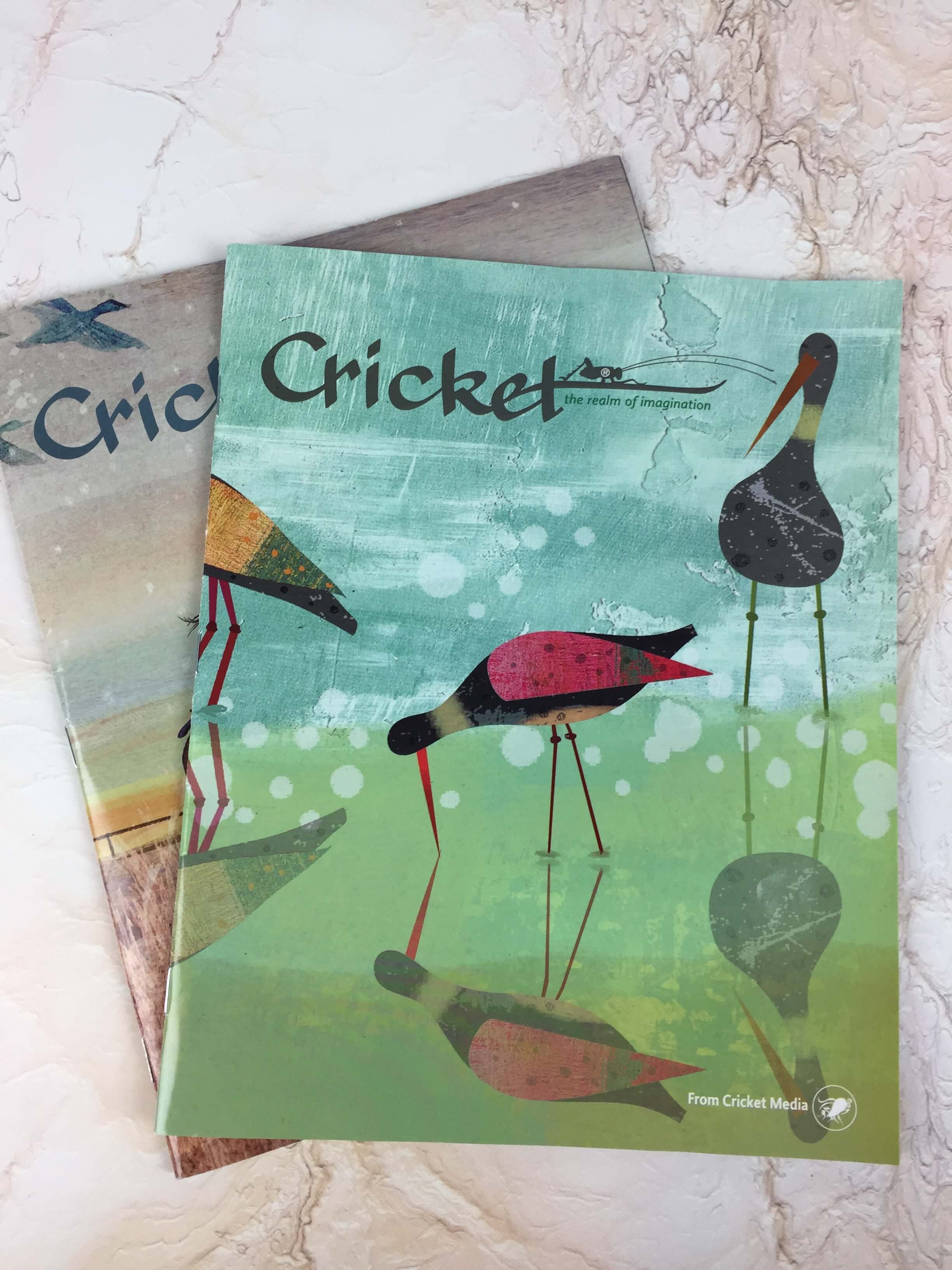 Cricket Magazine Subscription Review